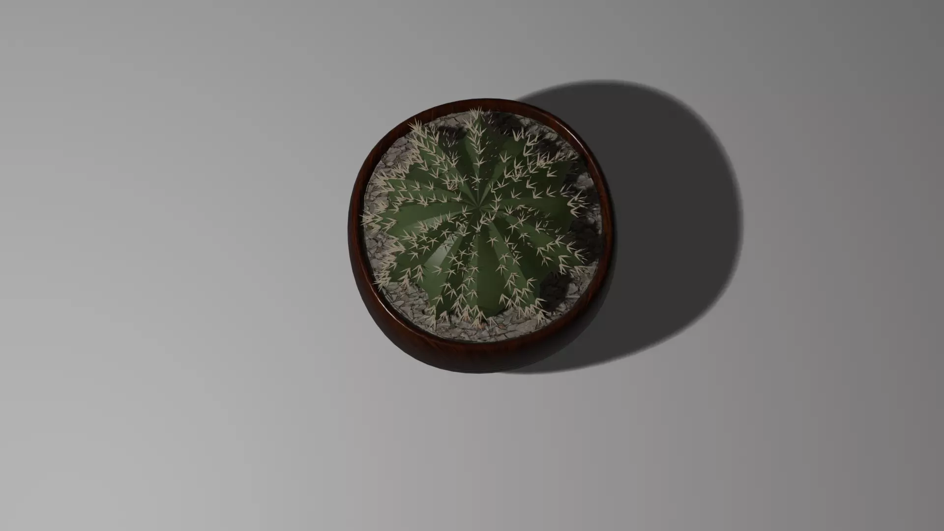 Cactus 3D model_0