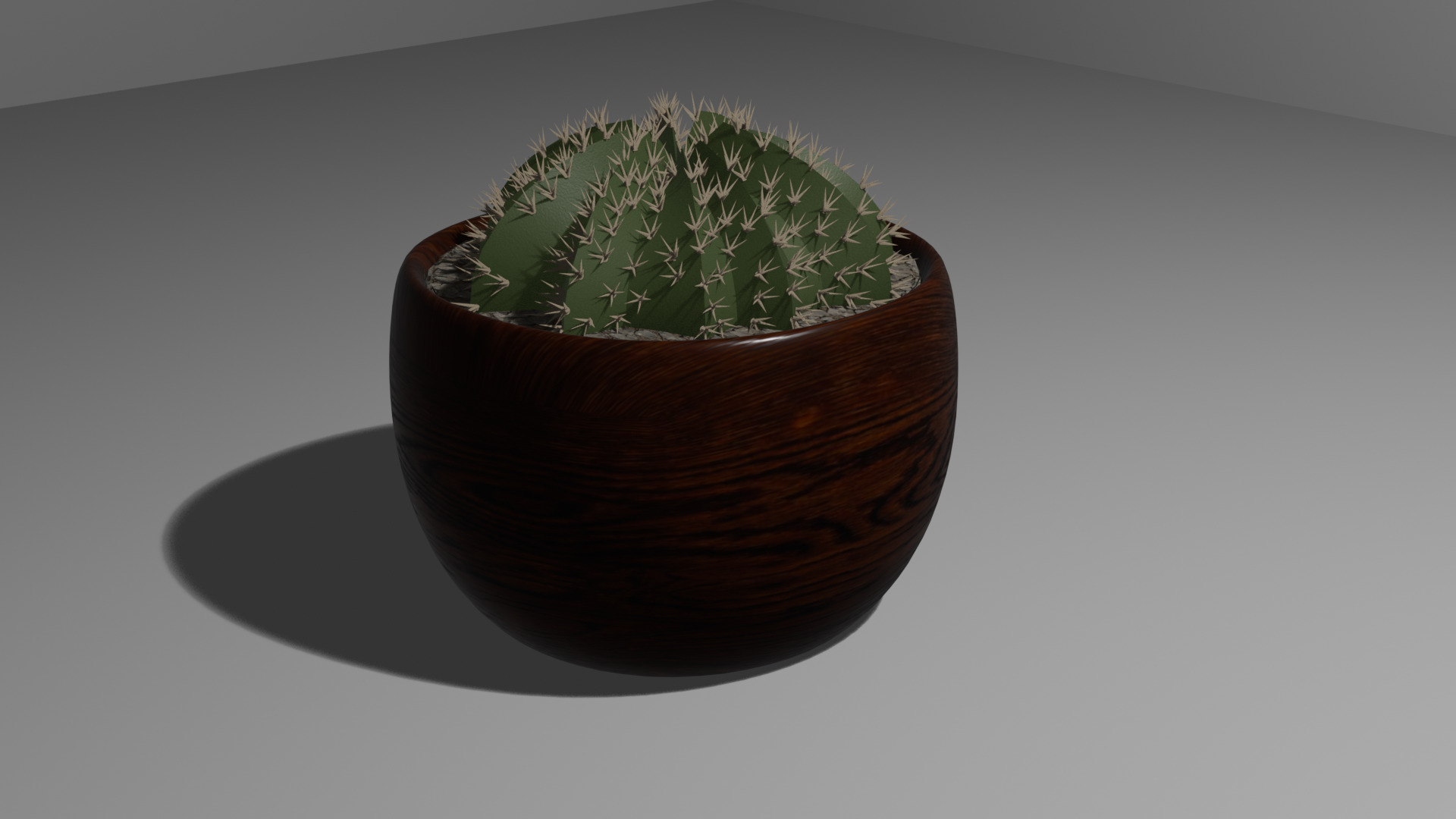 Cactus 3D model_3