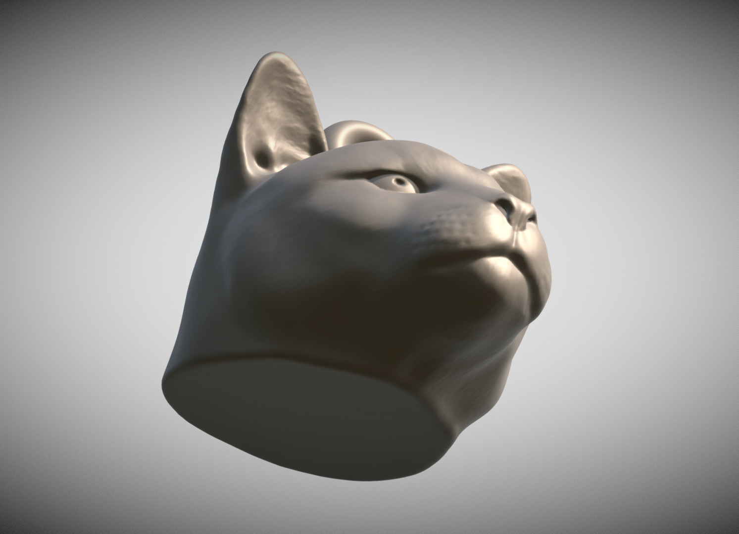 Cougar Mountain Lion head key ring for 3D printing 3D print model_8