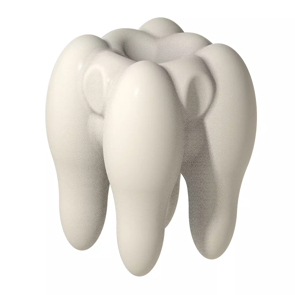 Premium Human Tooth 3D print model_0