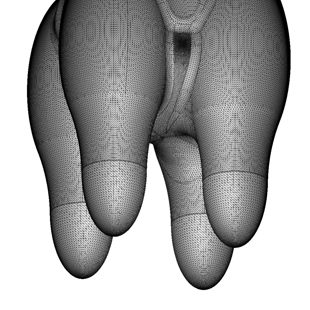 Premium Human Tooth 3D print model_5