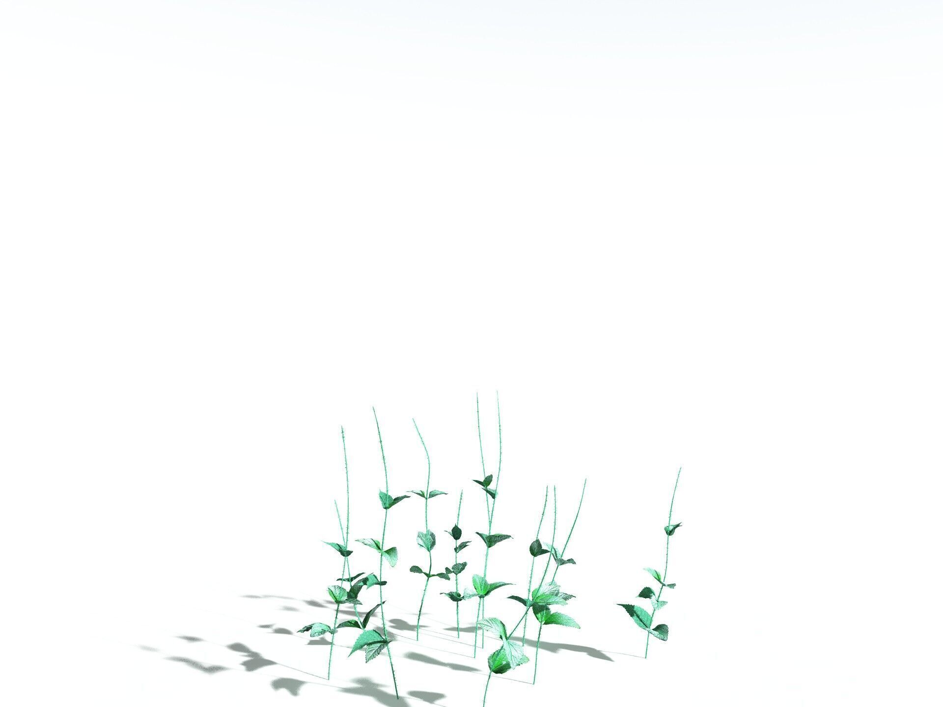 EVERYPlant Dog Mercury 3D model_26