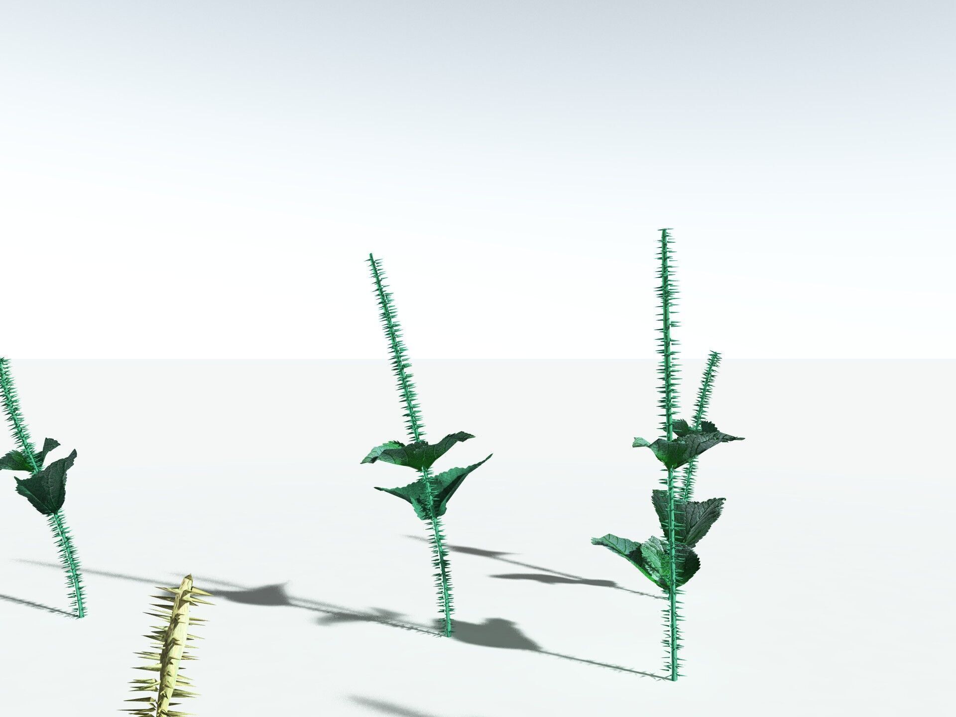 EVERYPlant Dog Mercury 3D model_29