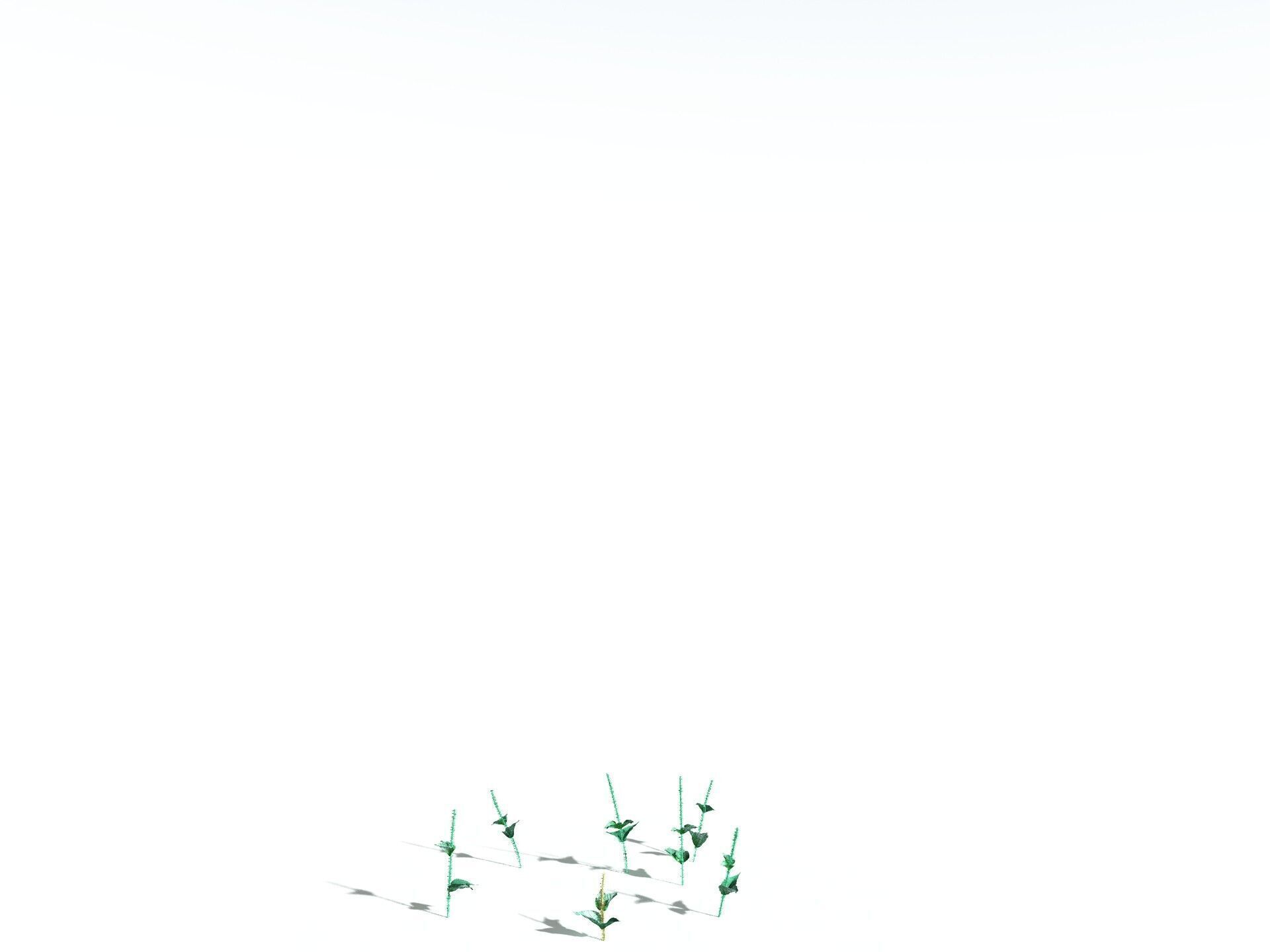 EVERYPlant Dog Mercury 3D model_28