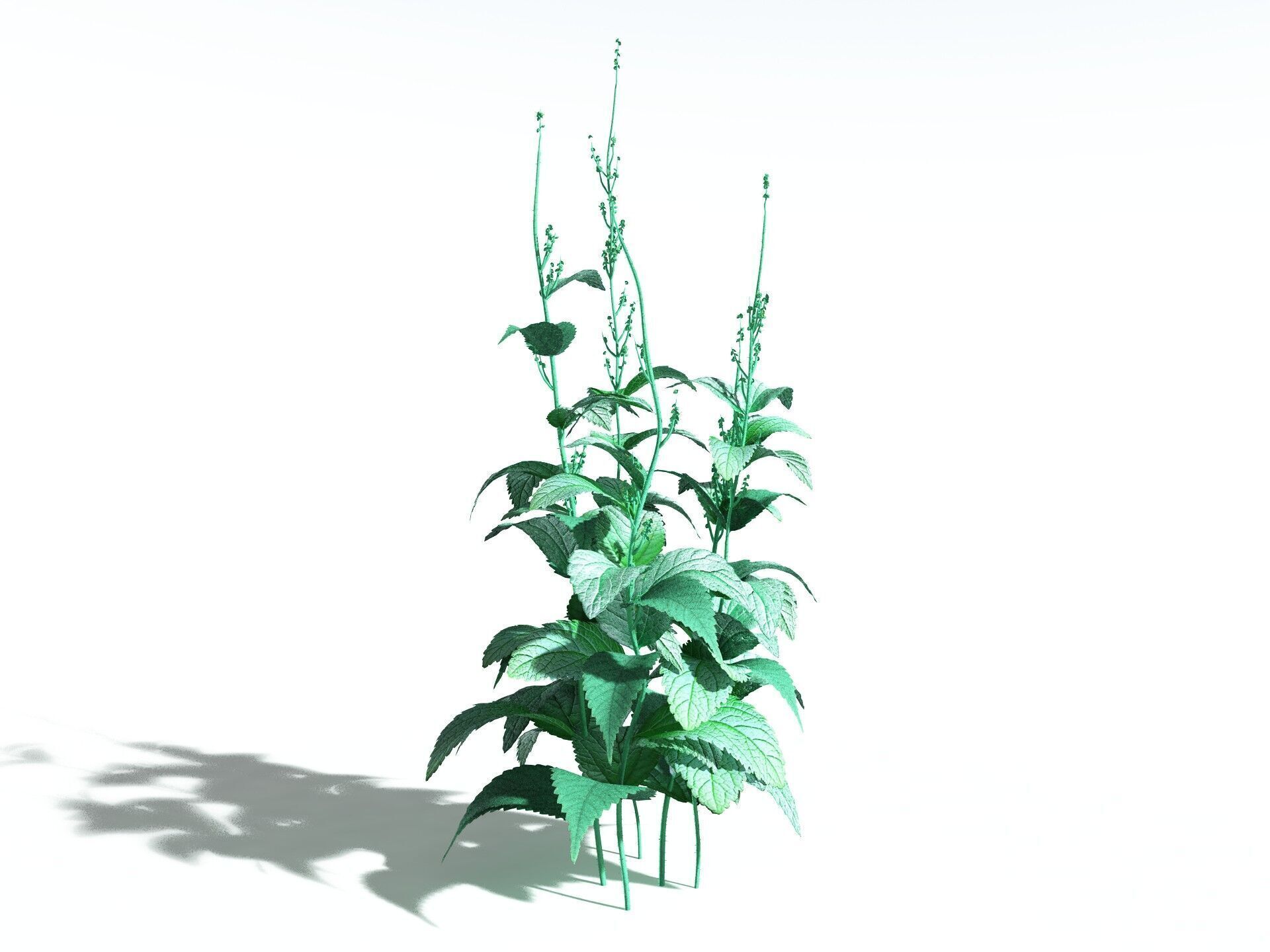 EVERYPlant Dog Mercury 3D model_32