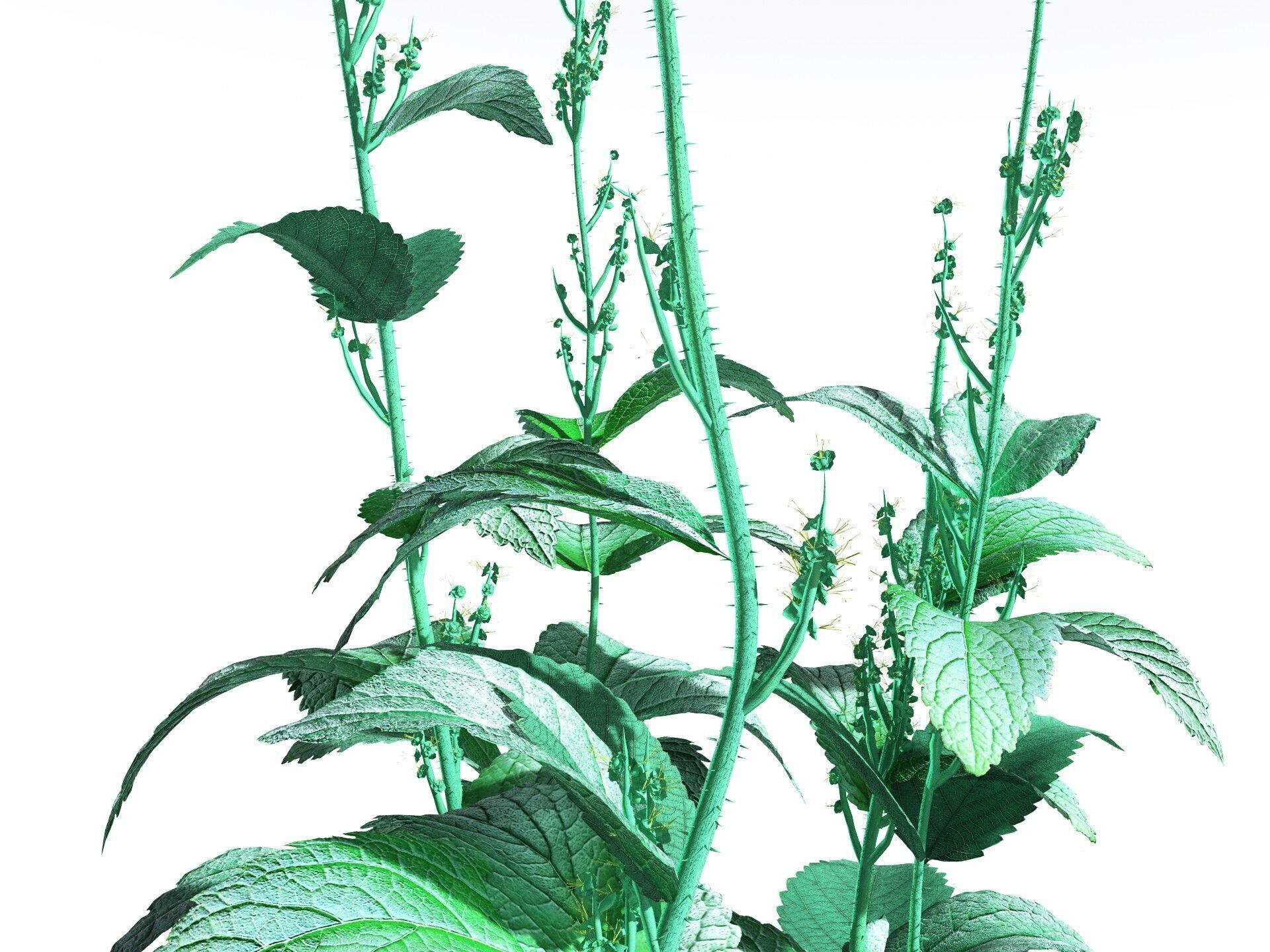 EVERYPlant Dog Mercury 3D model_33