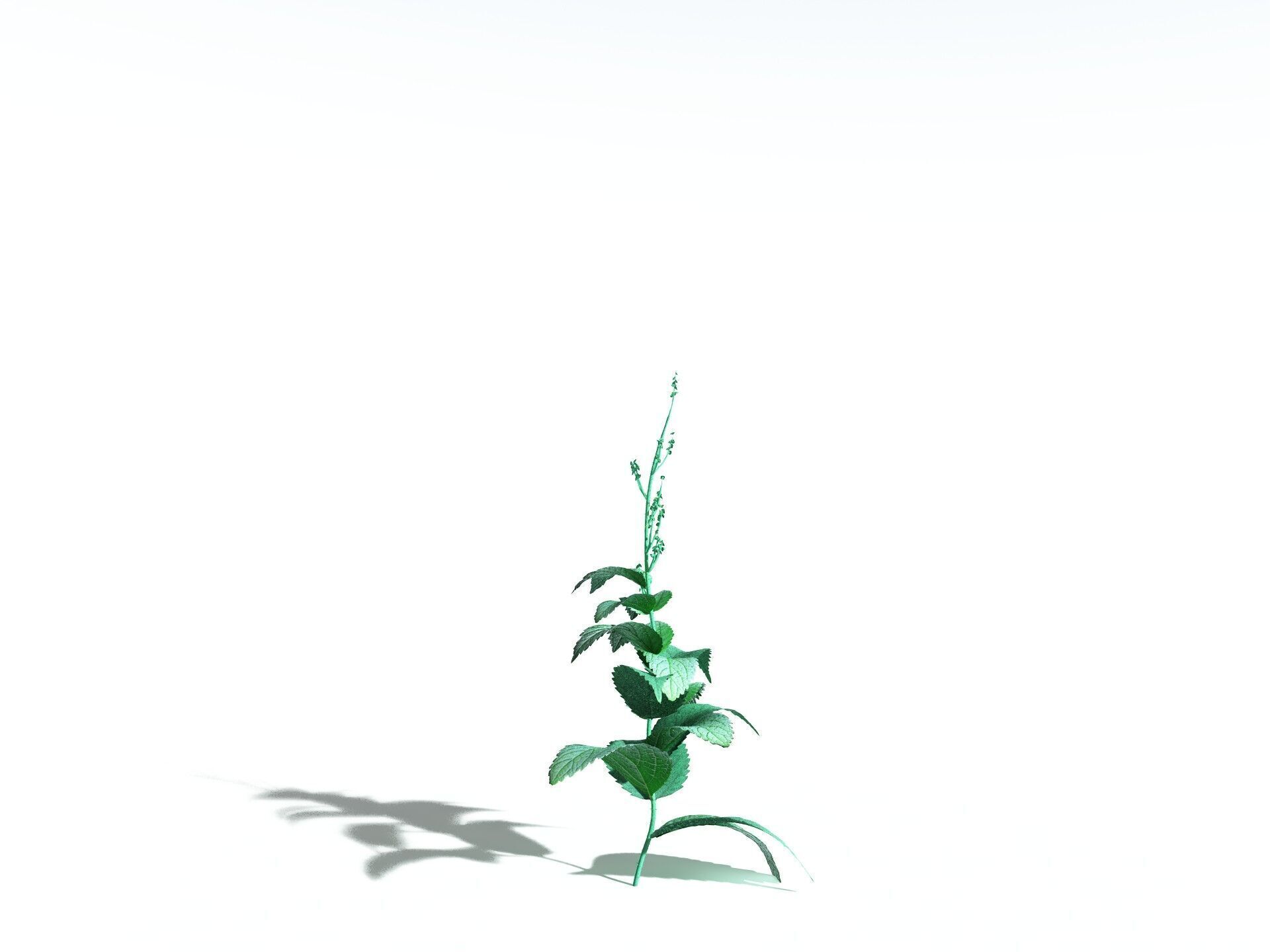 EVERYPlant Dog Mercury 3D model_30