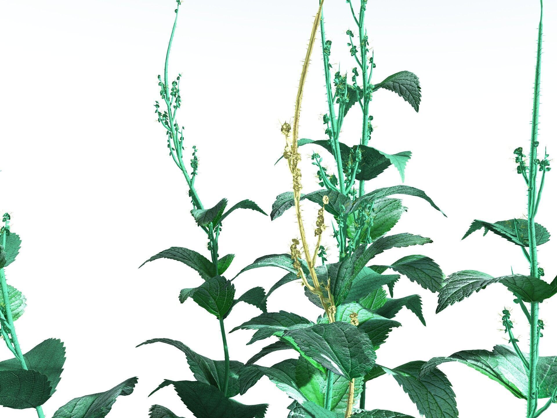 EVERYPlant Dog Mercury 3D model_5