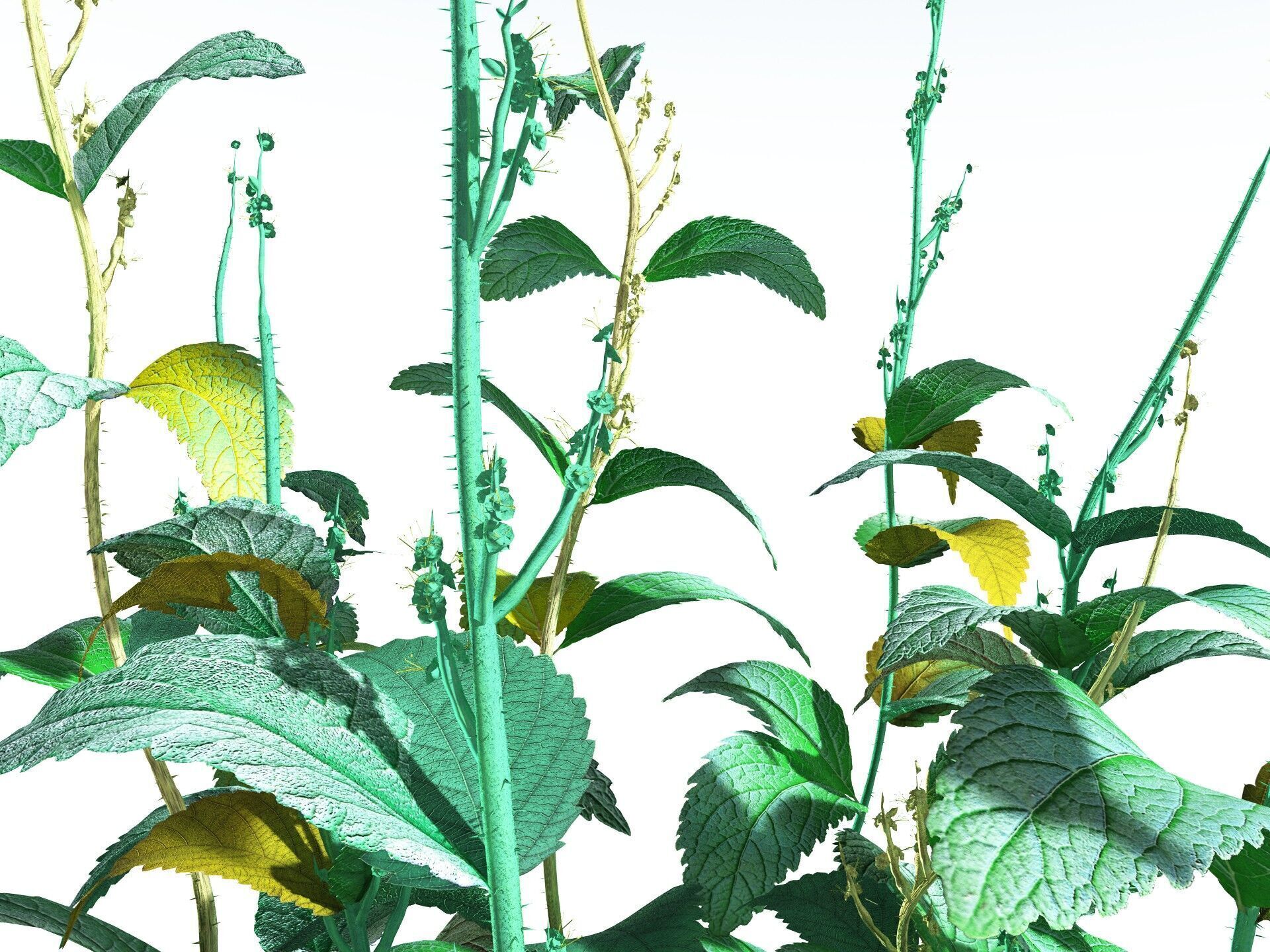 EVERYPlant Dog Mercury 3D model_13