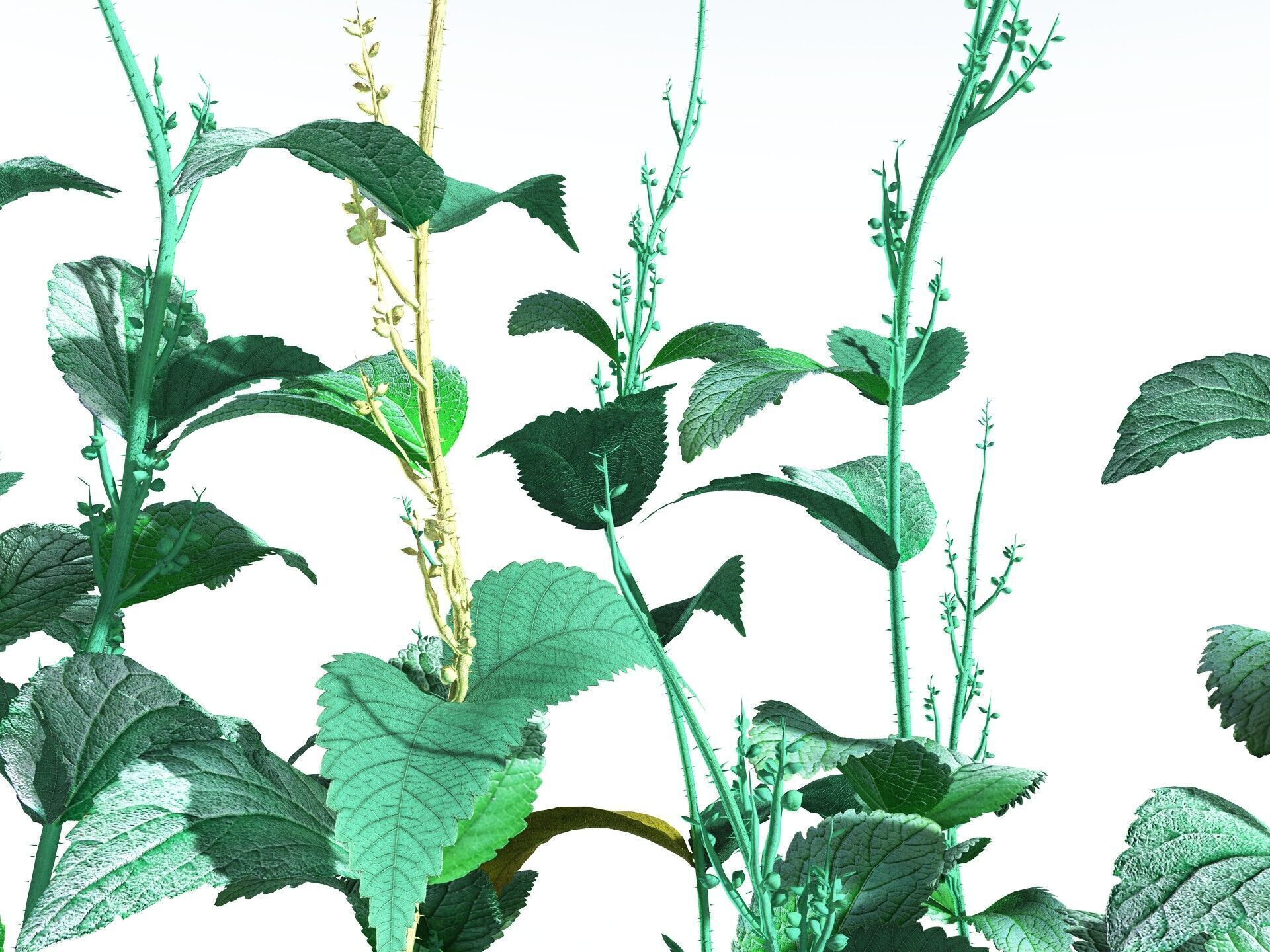 EVERYPlant Dog Mercury 3D model_21