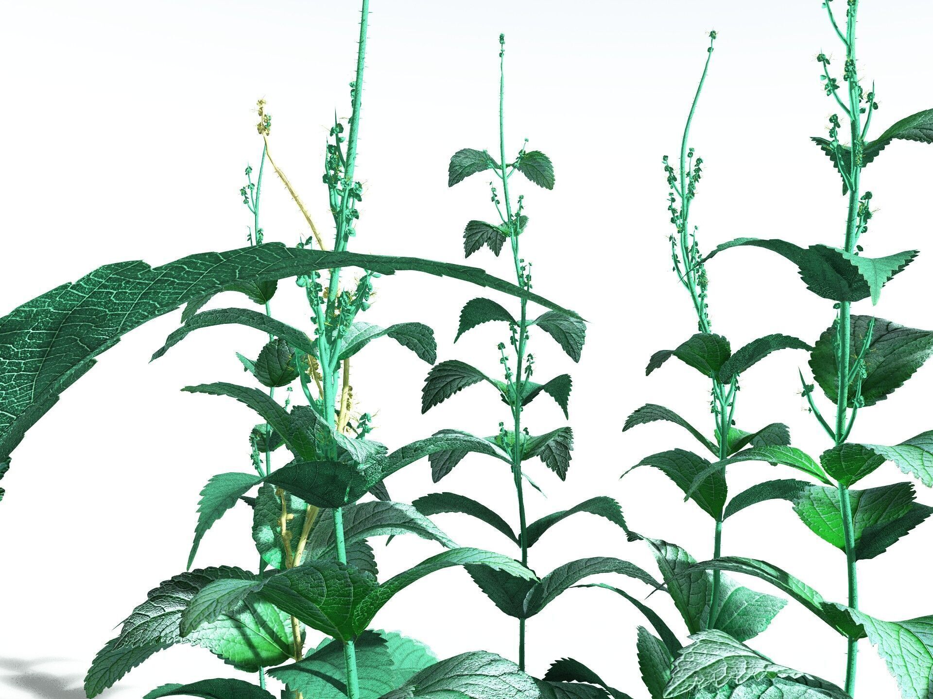 EVERYPlant Dog Mercury 3D model_35