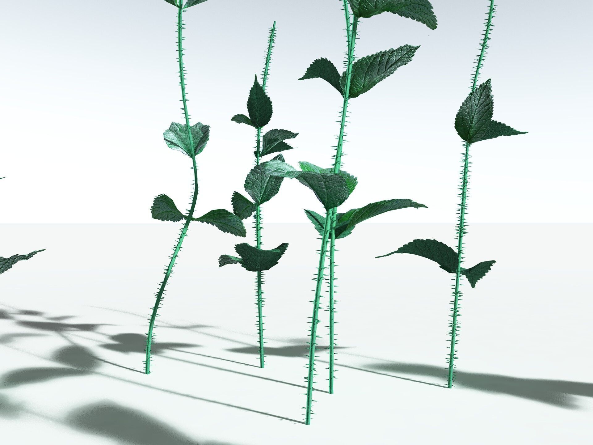EVERYPlant Dog Mercury 3D model_27