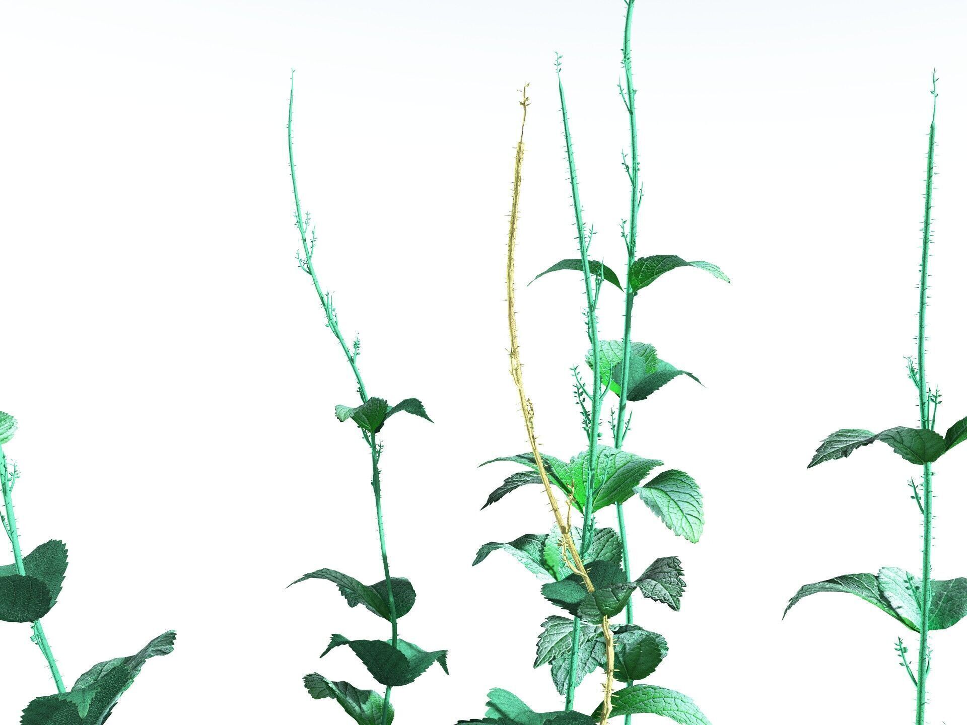 EVERYPlant Dog Mercury 3D model_25