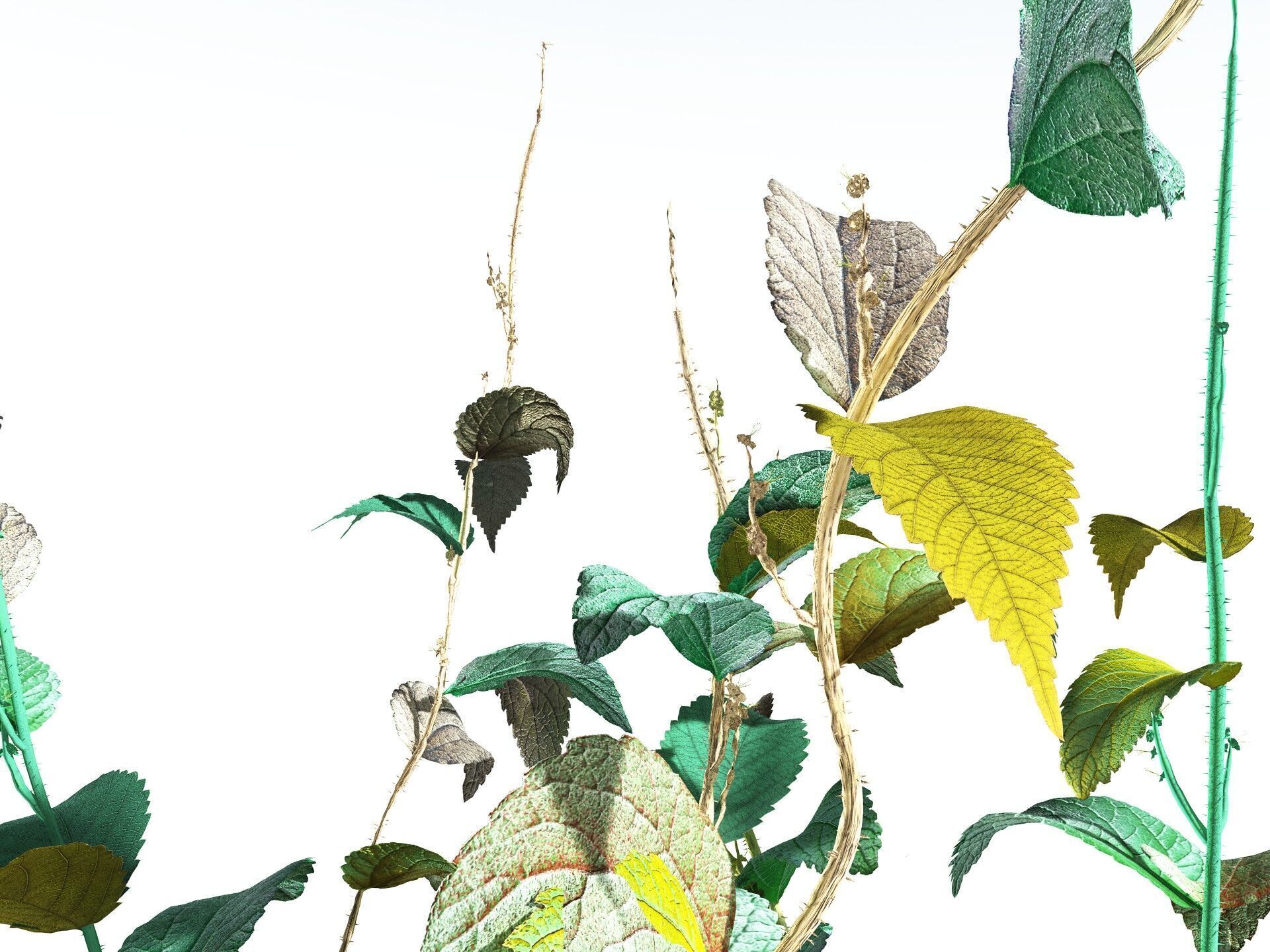 EVERYPlant Dog Mercury 3D model_15