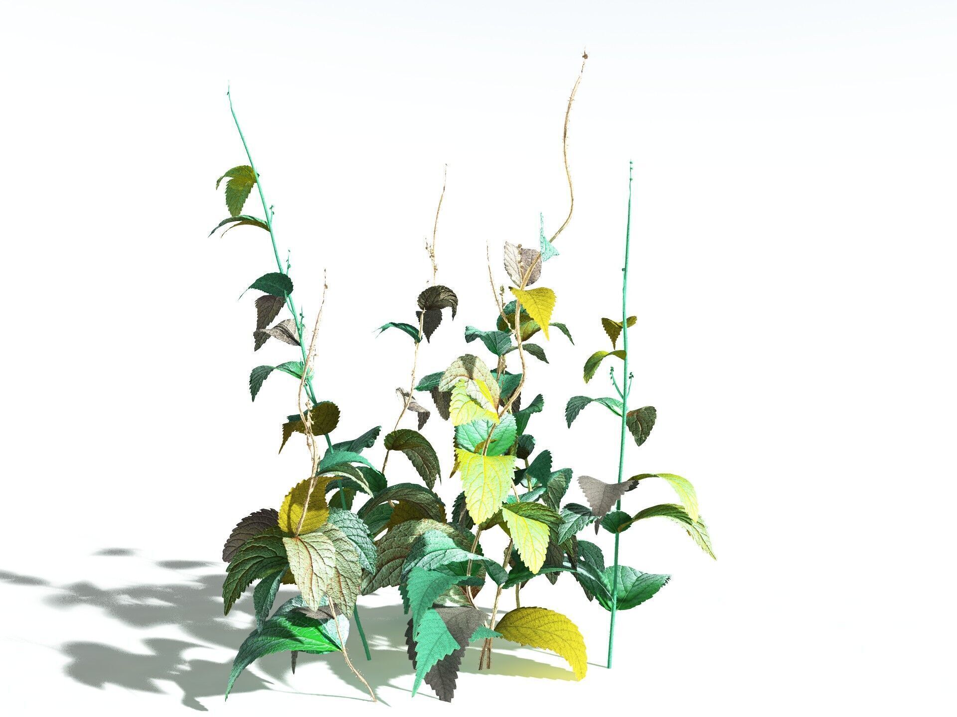 EVERYPlant Dog Mercury 3D model_14