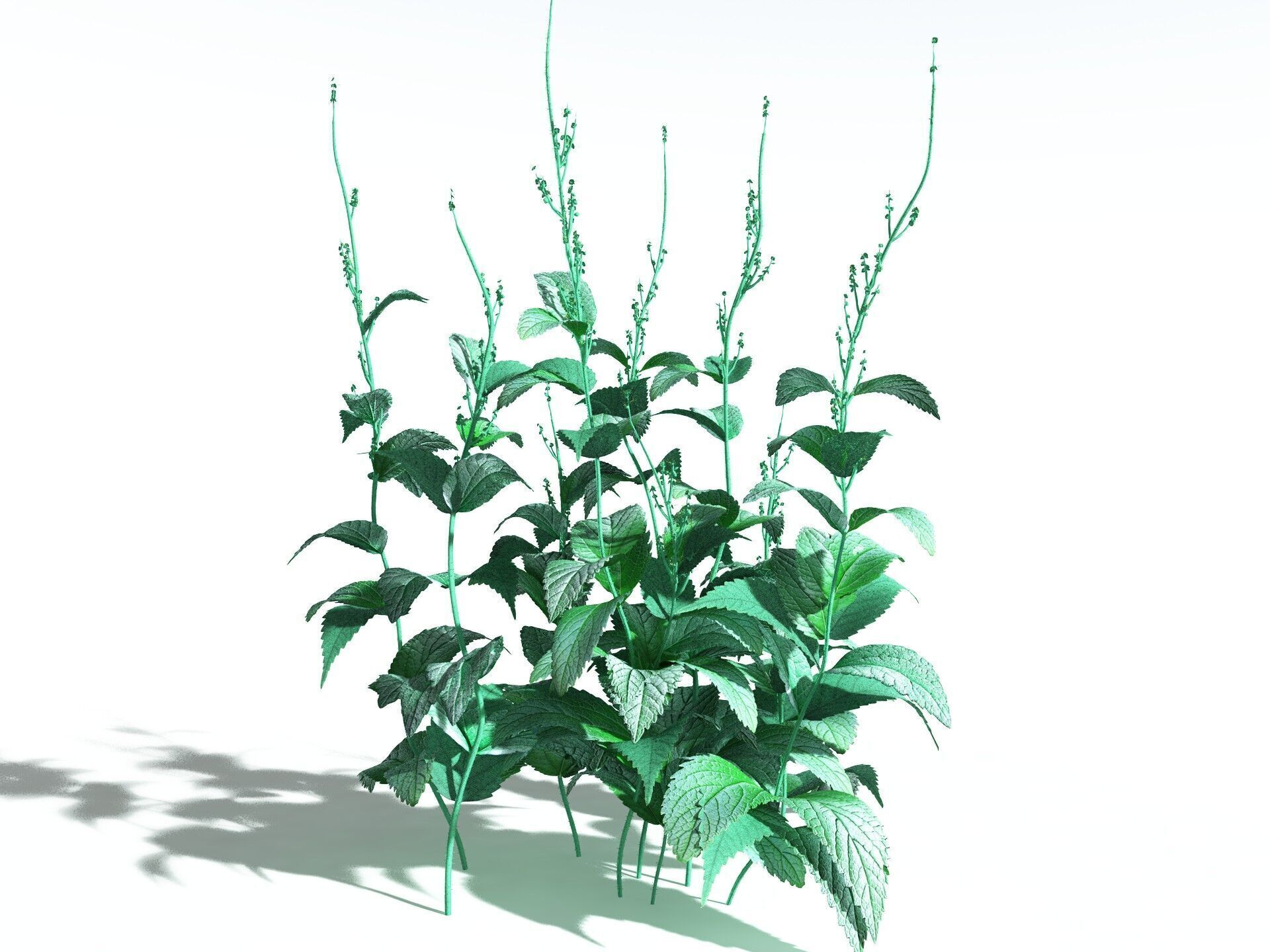 EVERYPlant Dog Mercury 3D model_10