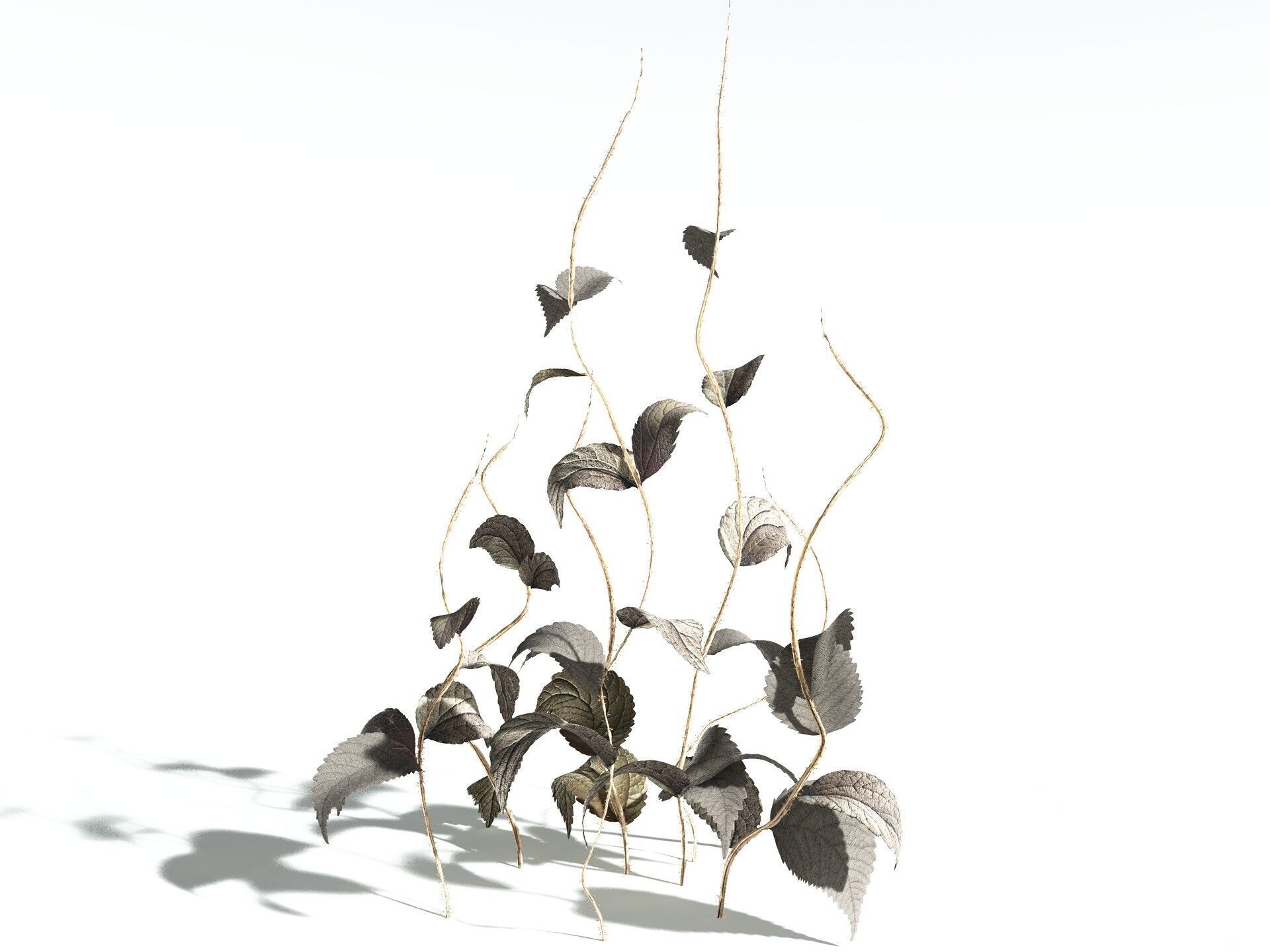 EVERYPlant Dog Mercury 3D model_18