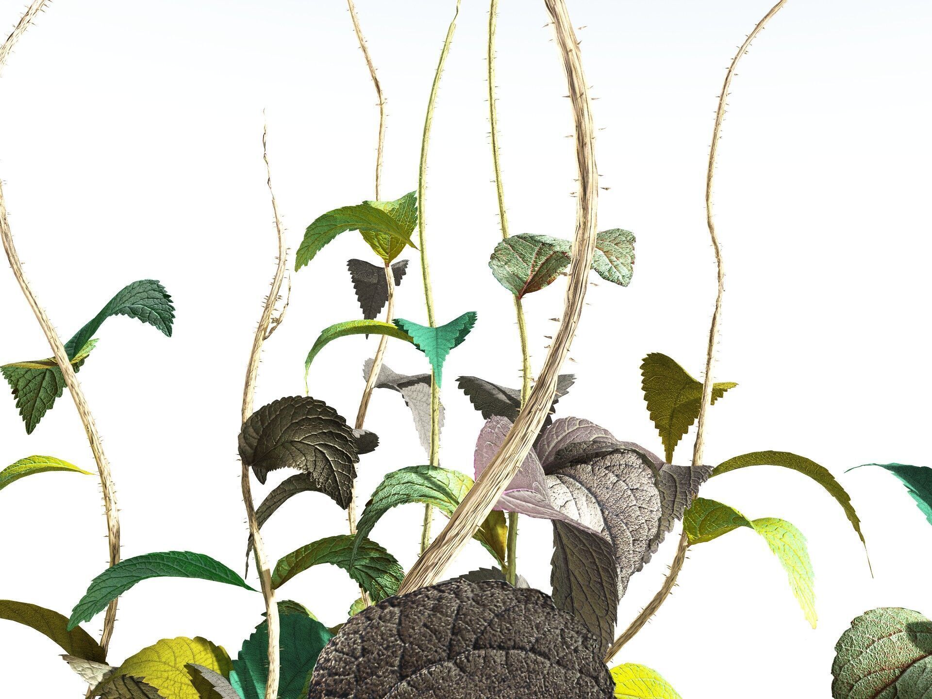 EVERYPlant Dog Mercury 3D model_17