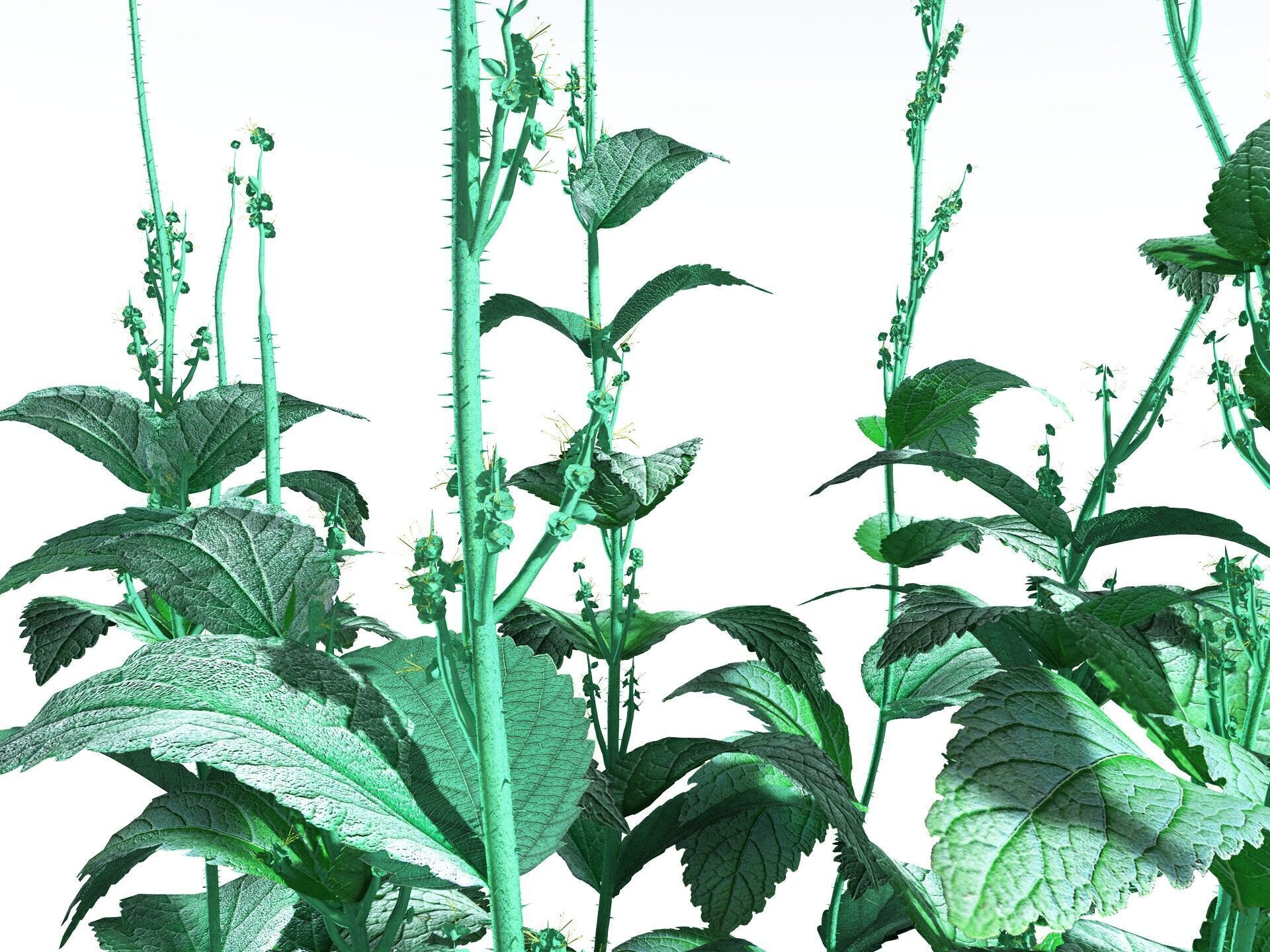 EVERYPlant Dog Mercury 3D model_3