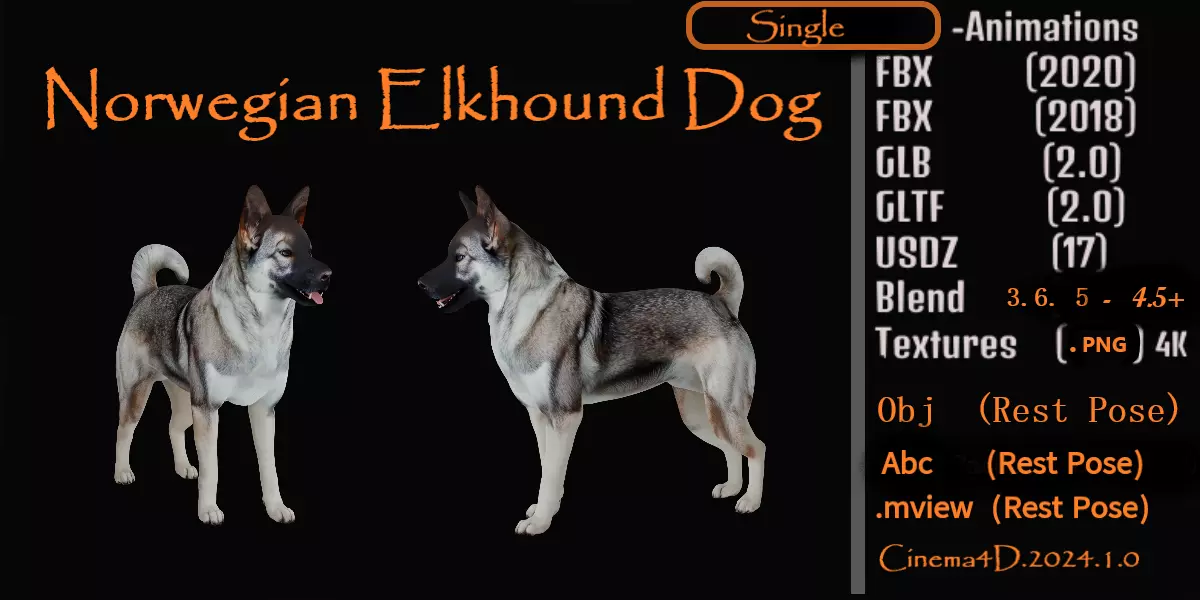 Norwegian Elkhound Dog Low-poly 3D model