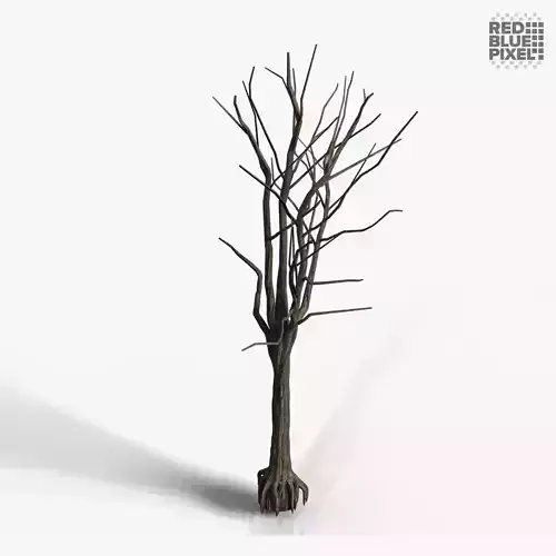 Tree 01