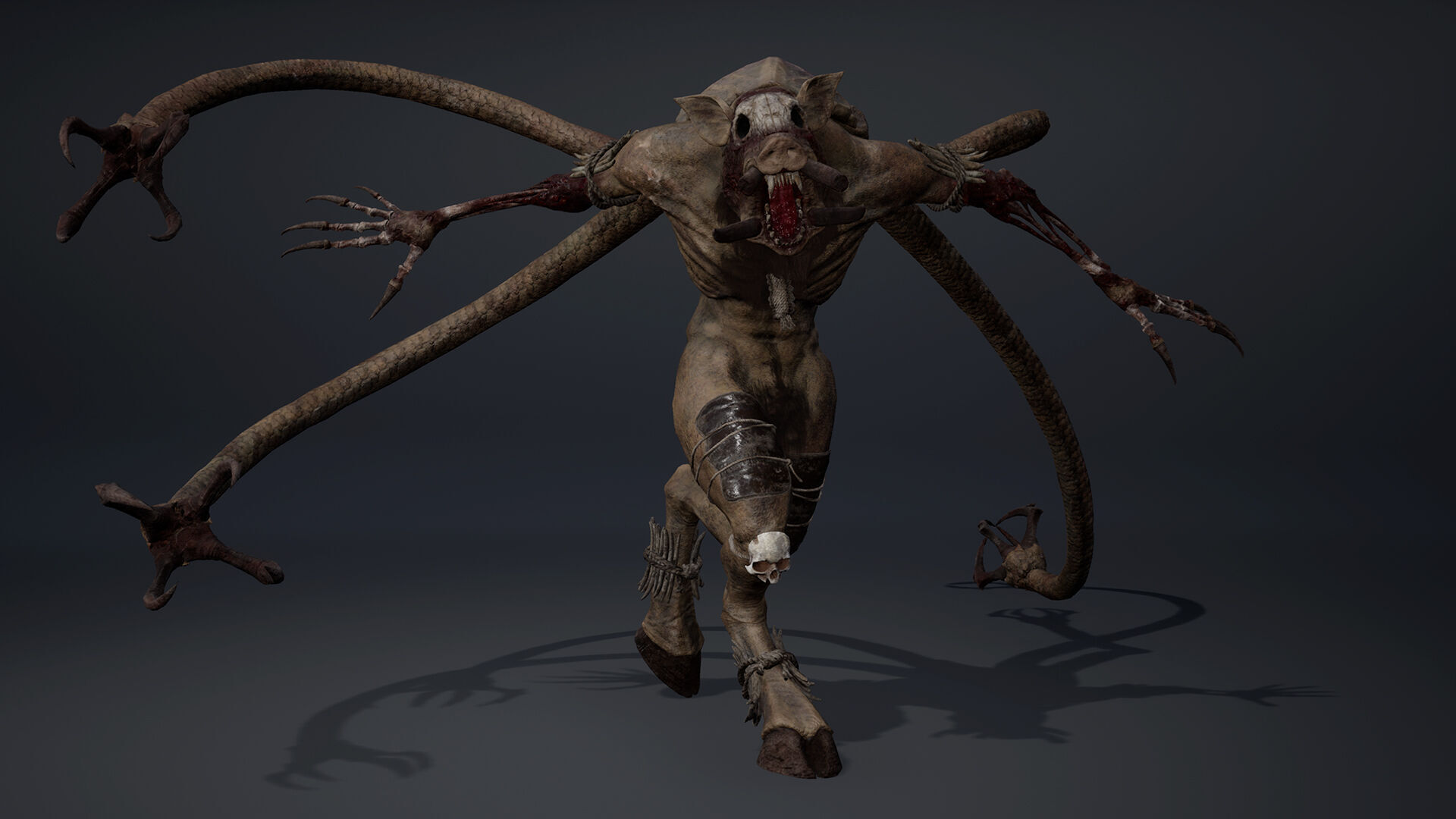 Thundermoon Furry Low-poly 3D model_10