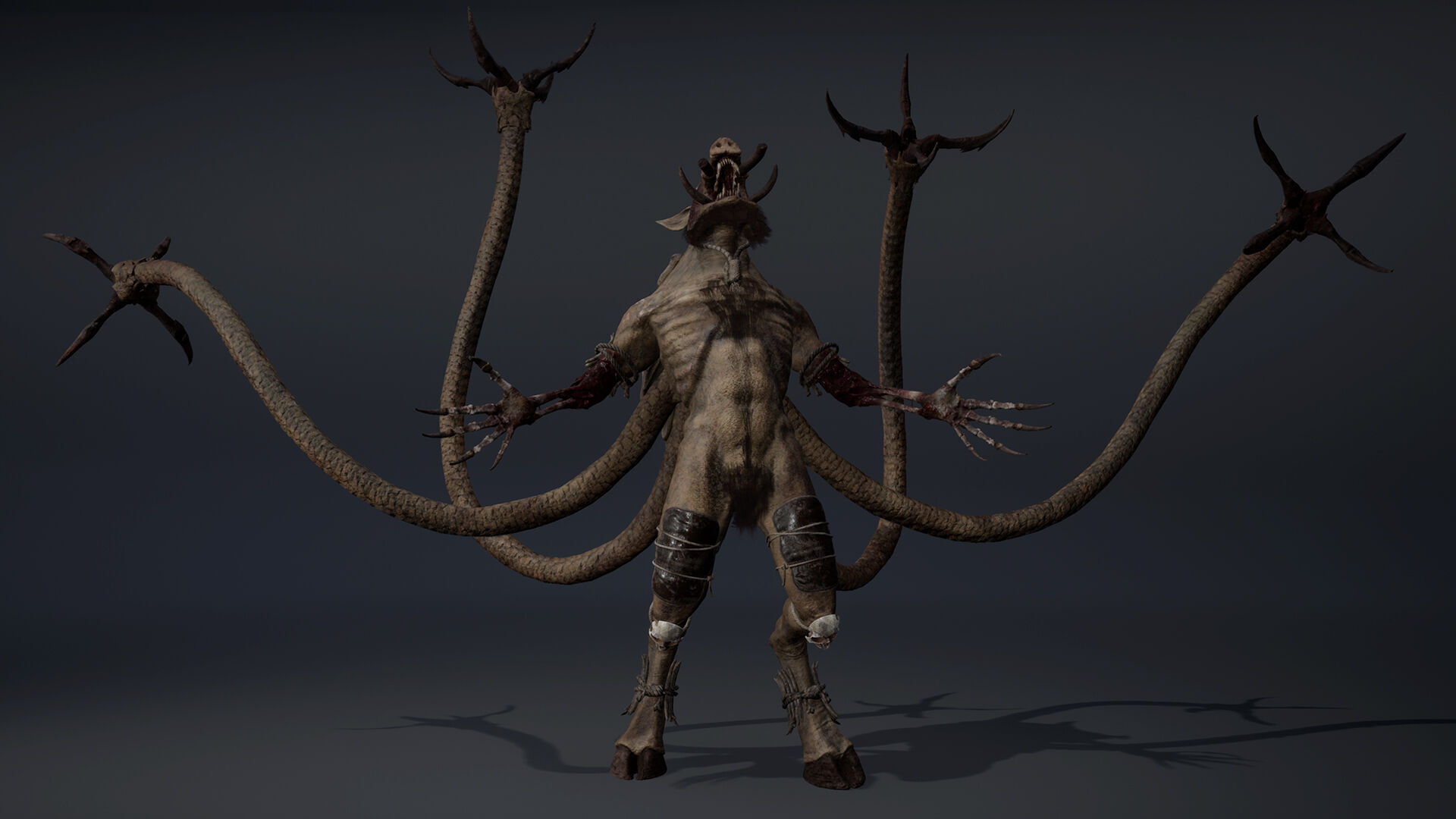 Thundermoon Furry Low-poly 3D model_11