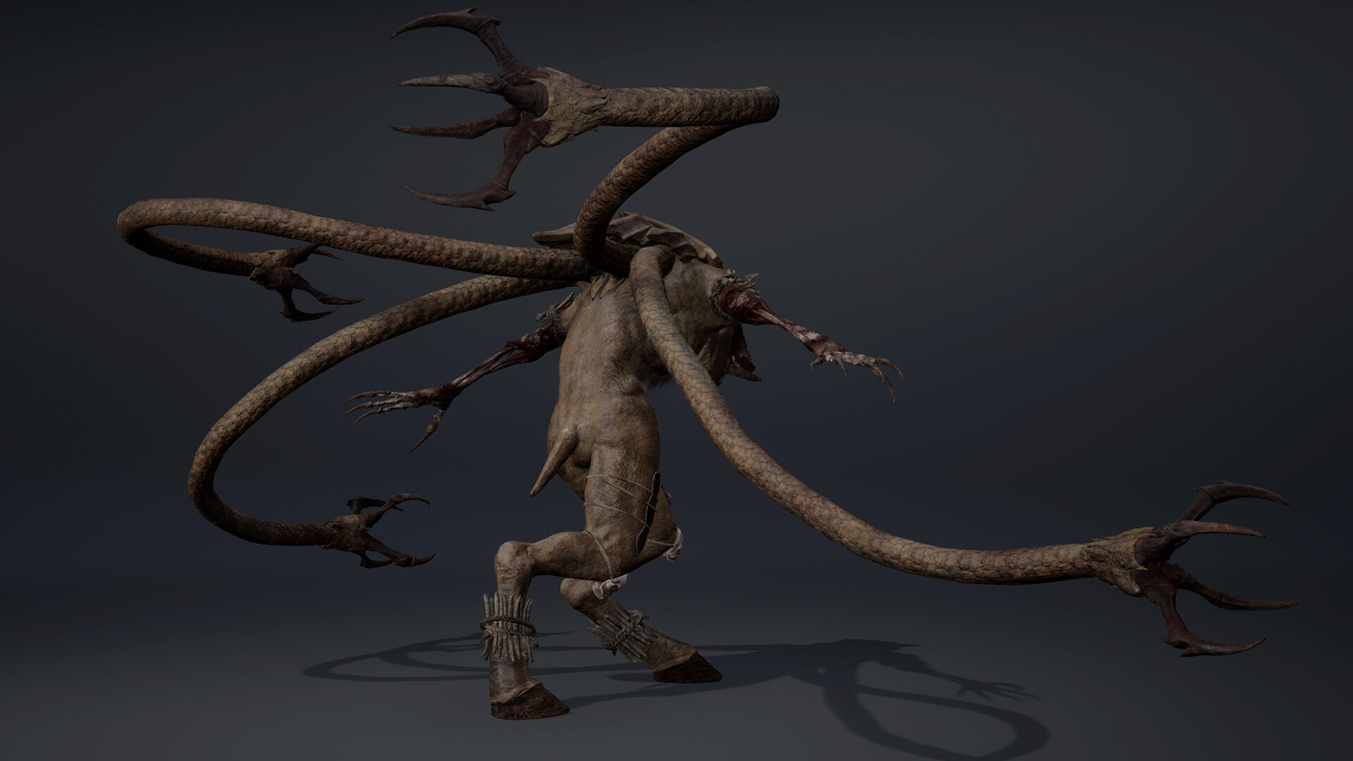 Thundermoon Furry Low-poly 3D model_13