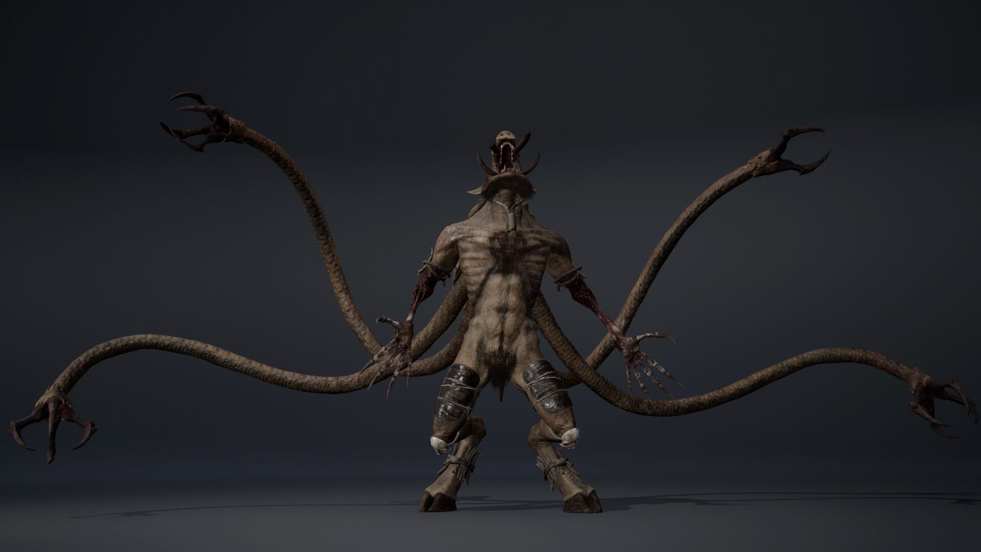 Thundermoon Furry Low-poly 3D model_14