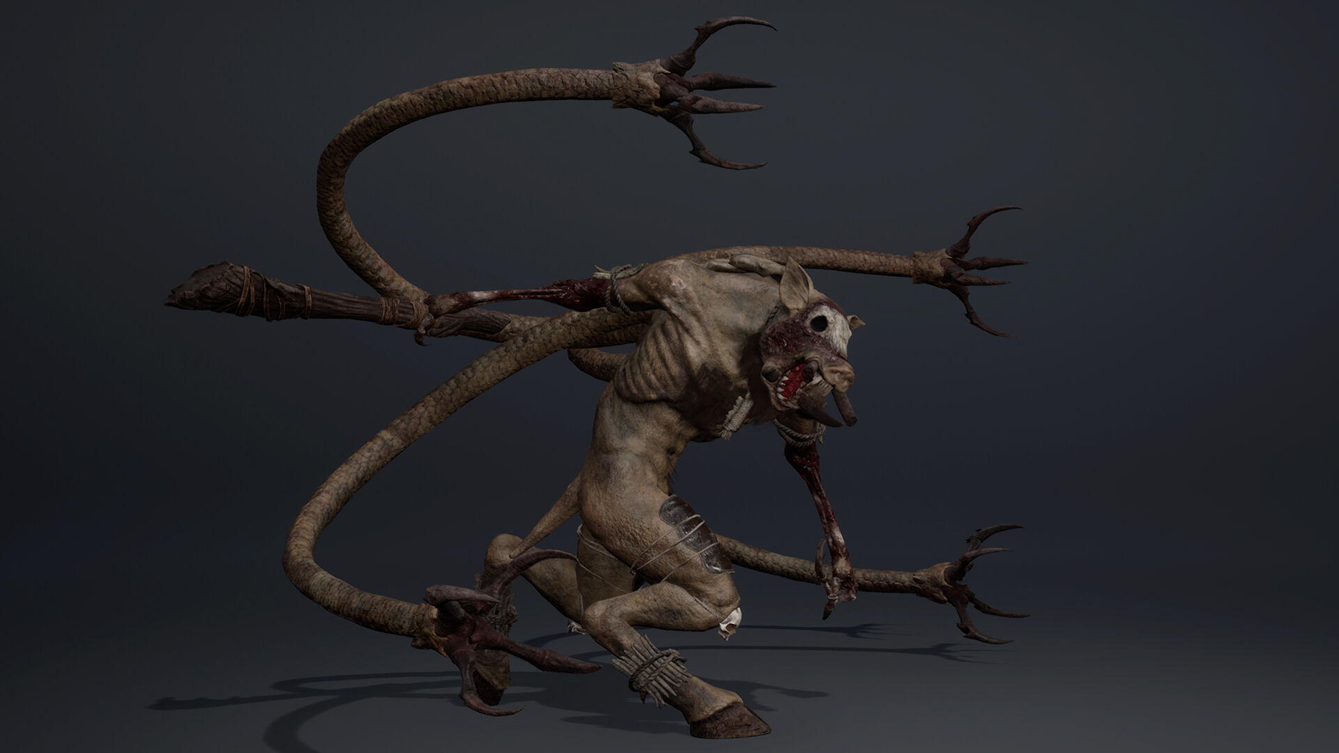 Thundermoon Furry Low-poly 3D model_12