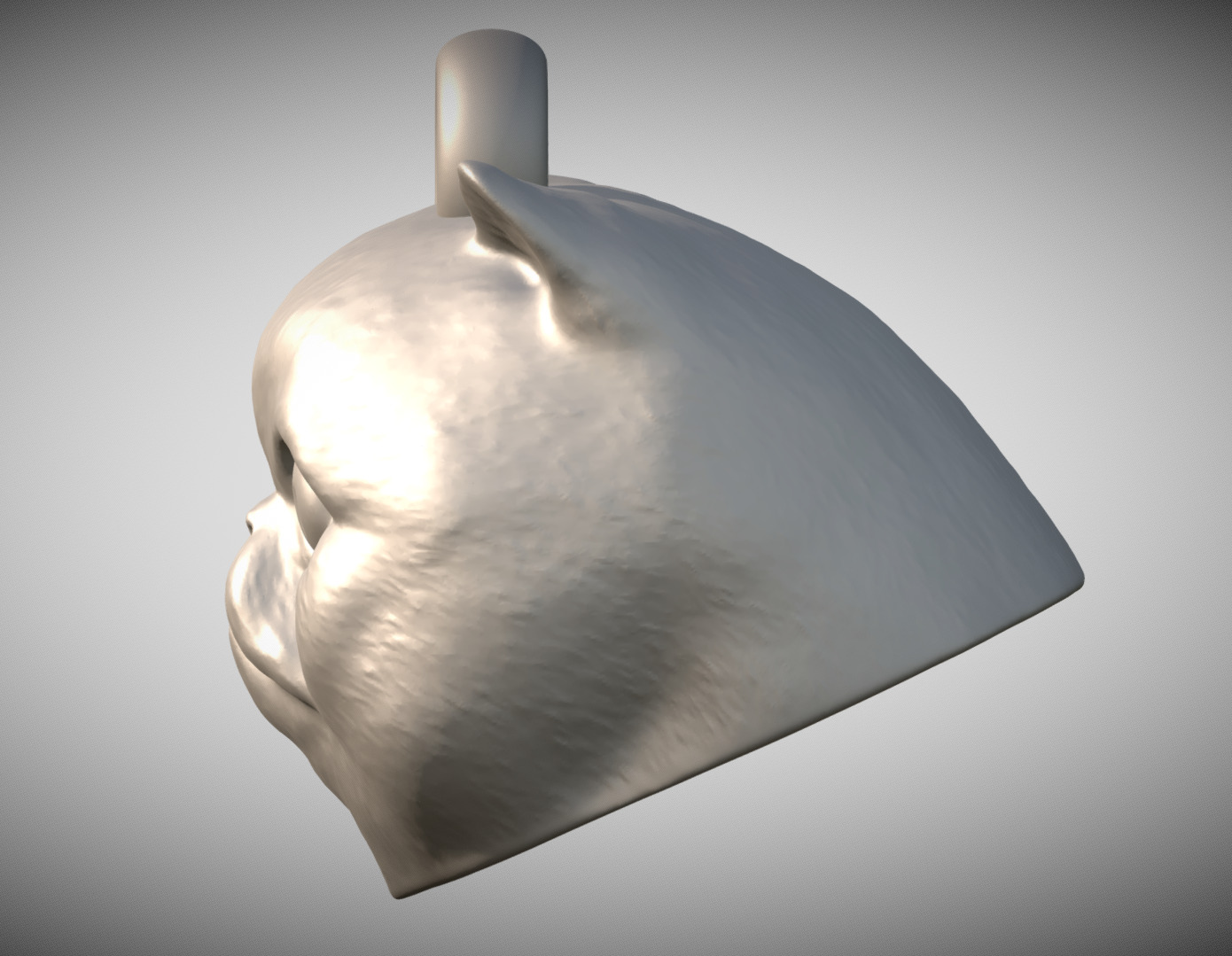 Exotic Shorthair cat head key ring for 3D printing 3D print model_2