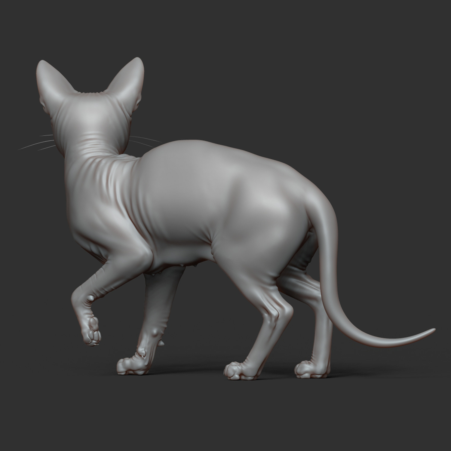 Cat Sphinx - Ready for Print  3D print model_8