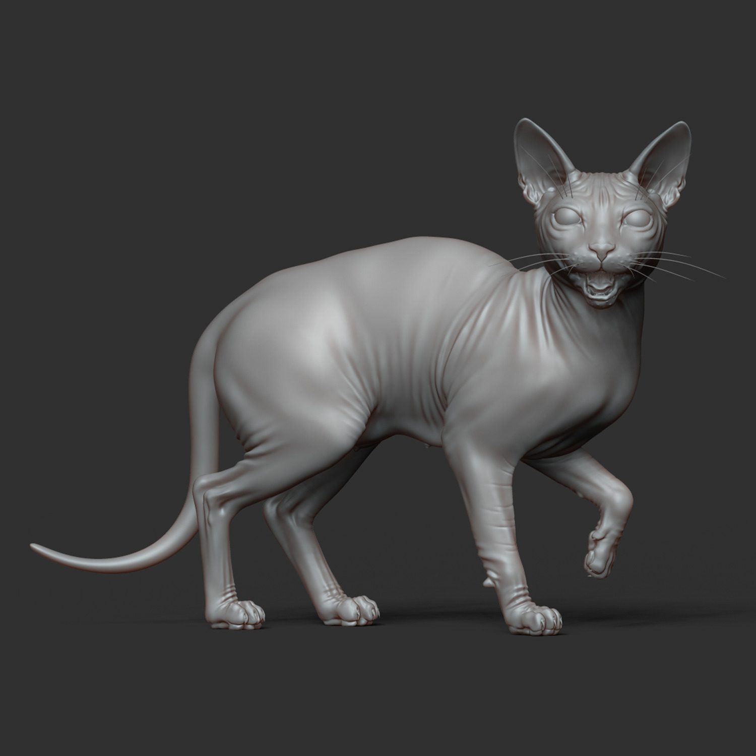 Cat Sphinx - Ready for Print  3D print model_4