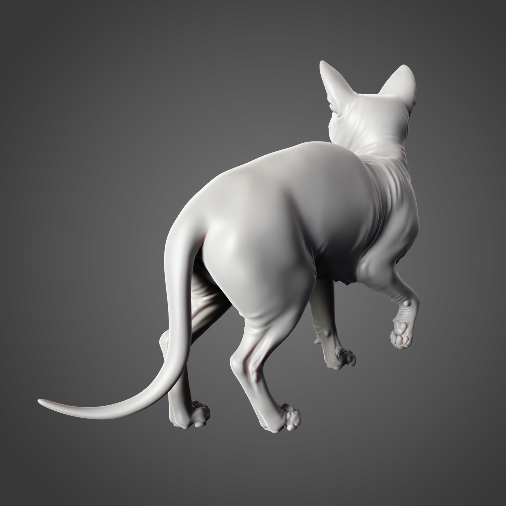 Cat Sphinx - Ready for Print  3D print model_3