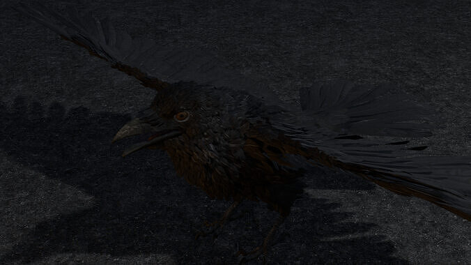 CROW RIG  gift for all Free low-poly 3D model