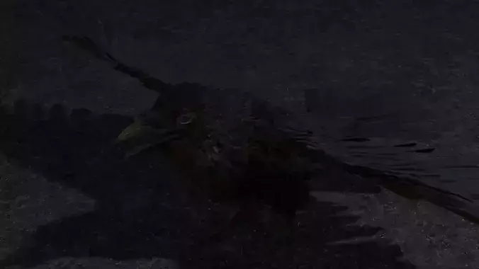 CROW RIG  gift for all