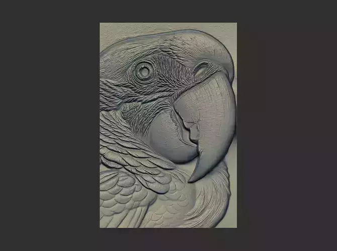 relife carving macaws head cnc model 3D print model