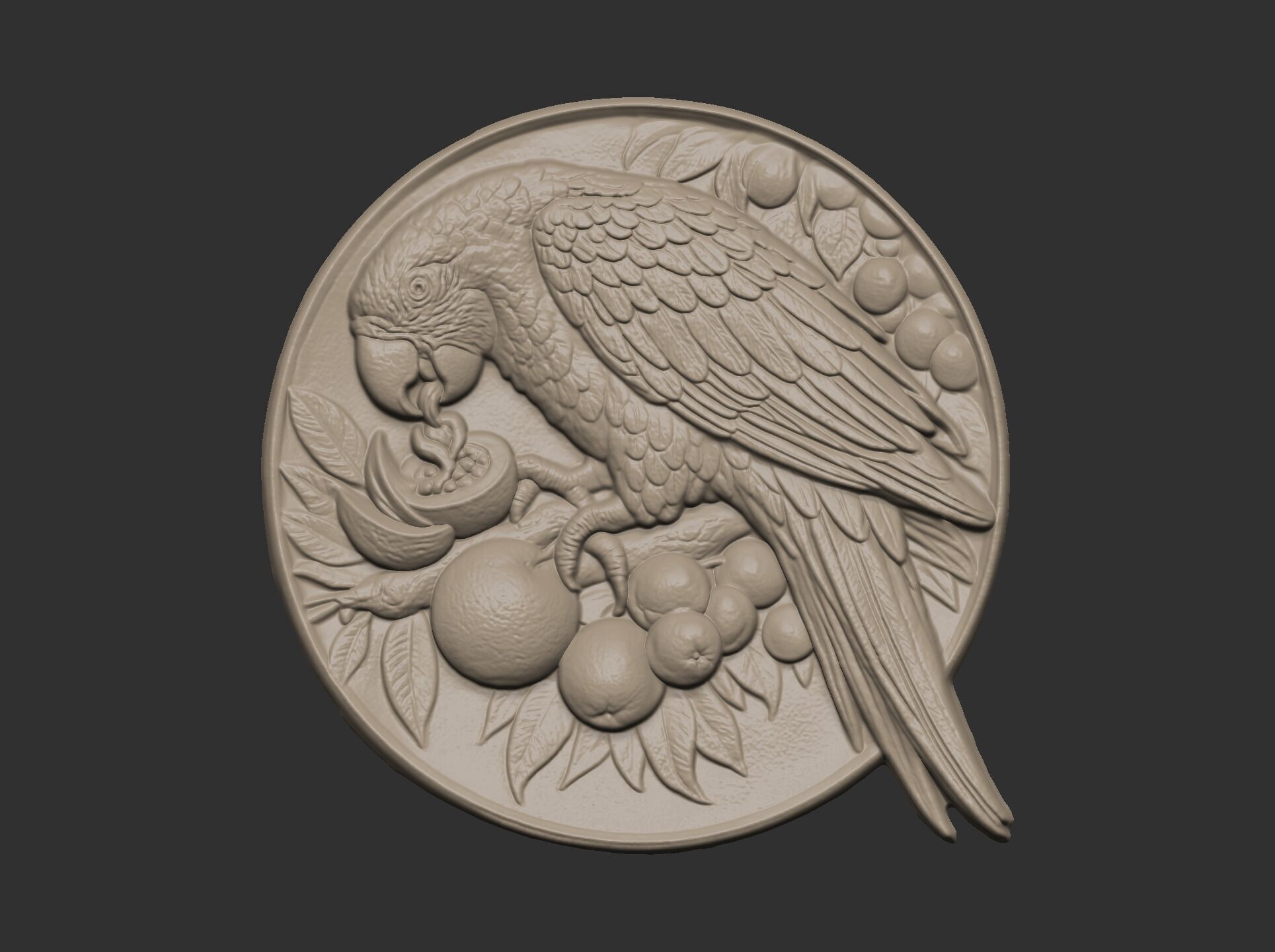 parrot round frame baserelife model 3D print model_12