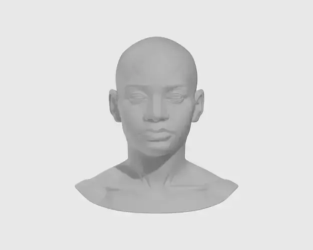Realistic Young African Female Head Bust  Anatomy