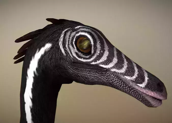 Gallimimus The Ostrich Mimic of the Cretaceous Low-poly 3D model