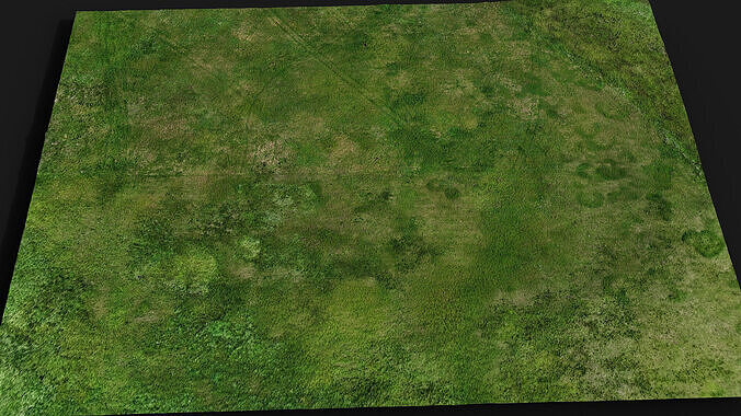 grass field area drone scan PBR photogrammetry Low-poly 3D model