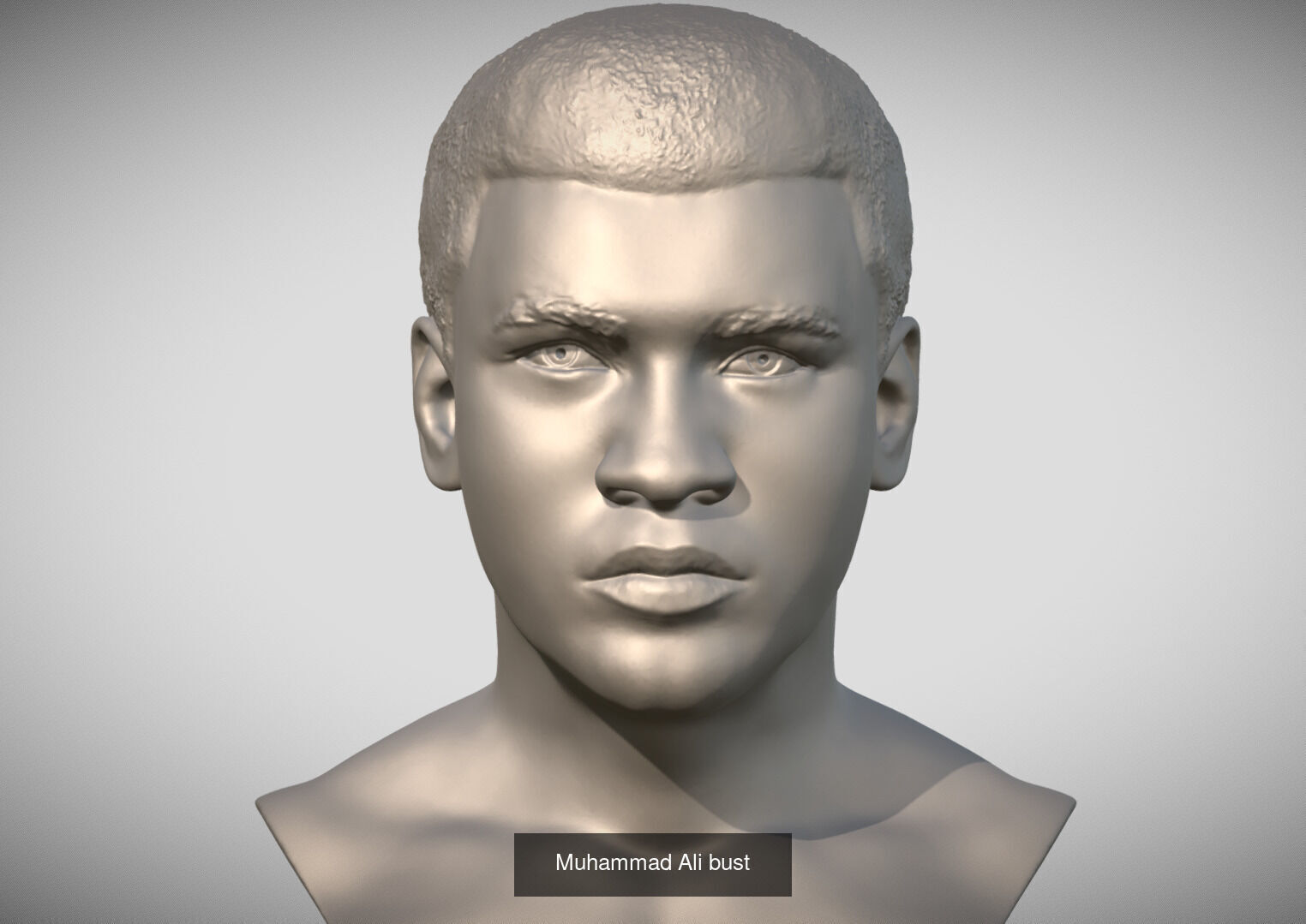 New Famous Boxers collection _3