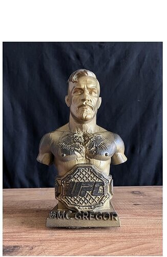 McGregor - UFC fighter - MMA Fighter Statue  3D print model