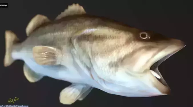 Largemouth Bass Low-poly 3D model