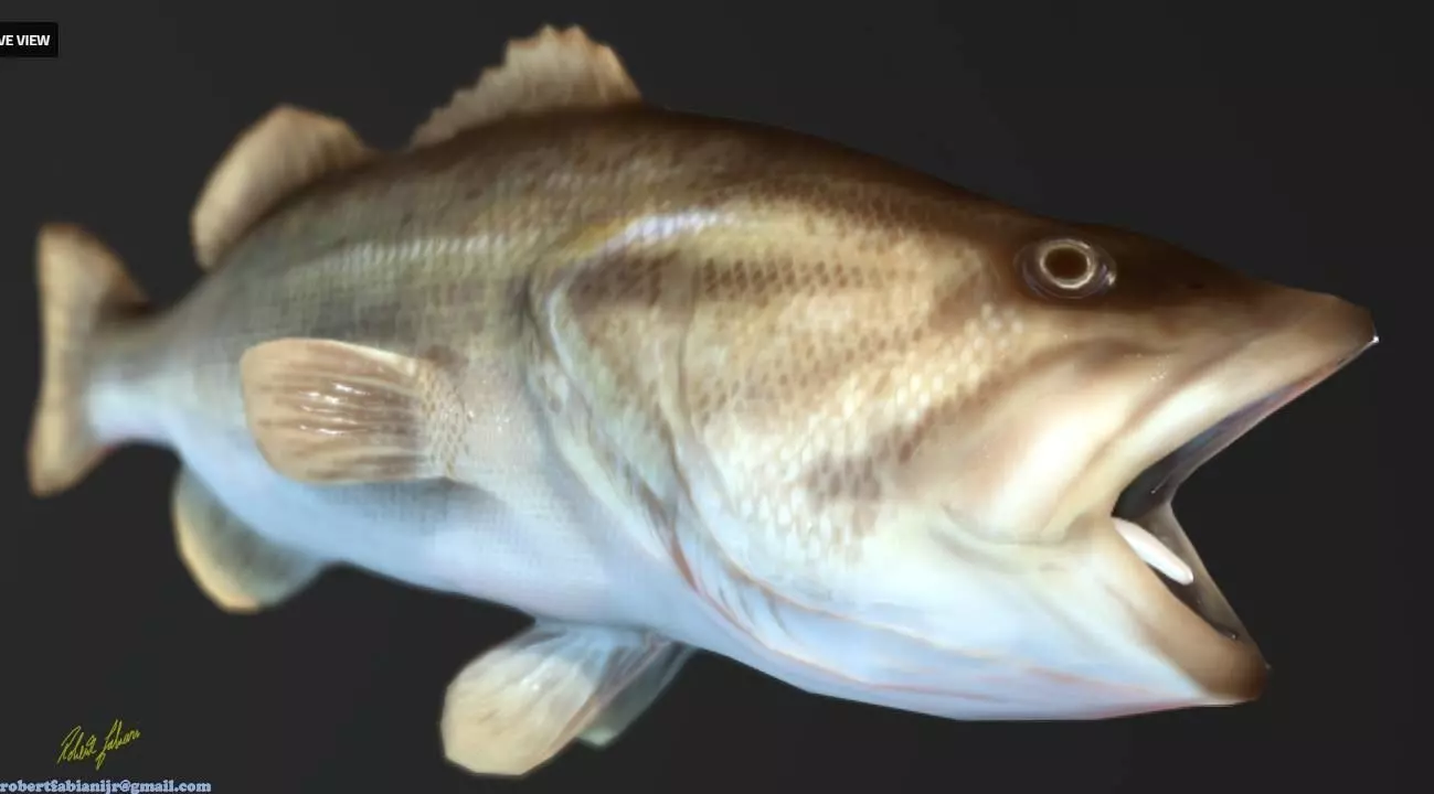 Largemouth Bass Low-poly 3D model