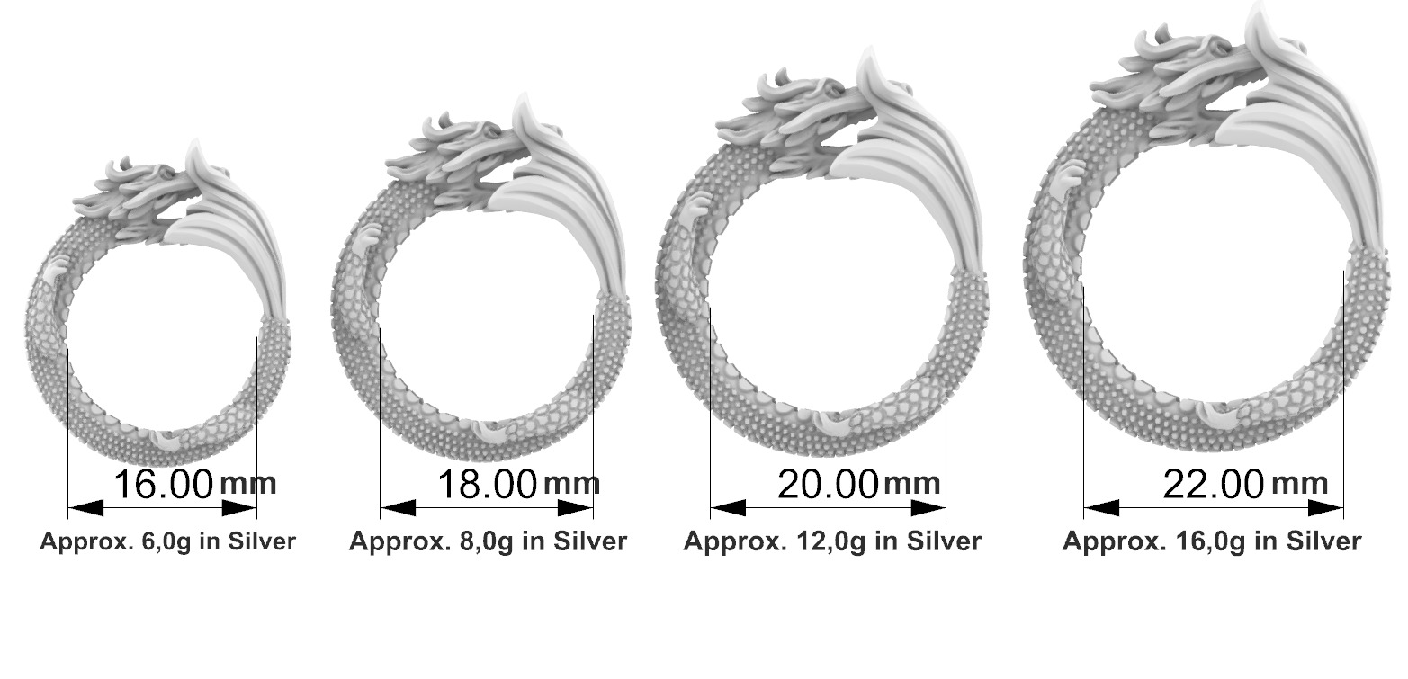 Dragon with Fish Tail - Ouroborus  3D print model_1