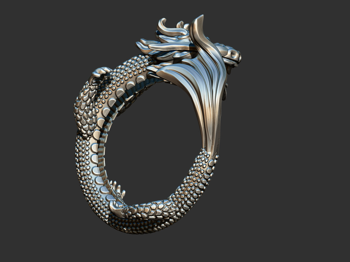 Dragon with Fish Tail - Ouroborus  3D print model_6