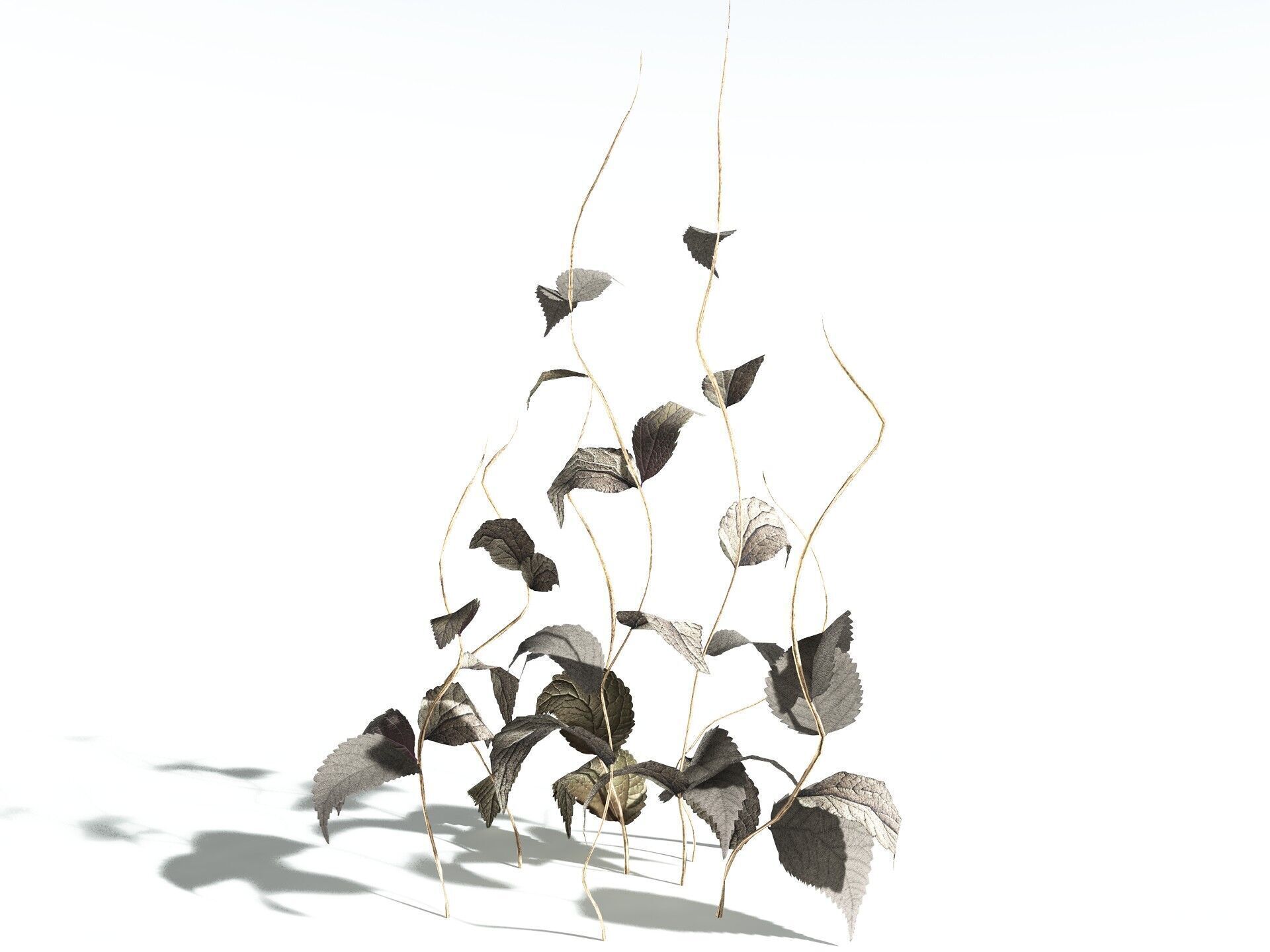 EVERYPlant Dog Mercury LowPoly Low-poly 3D model_18