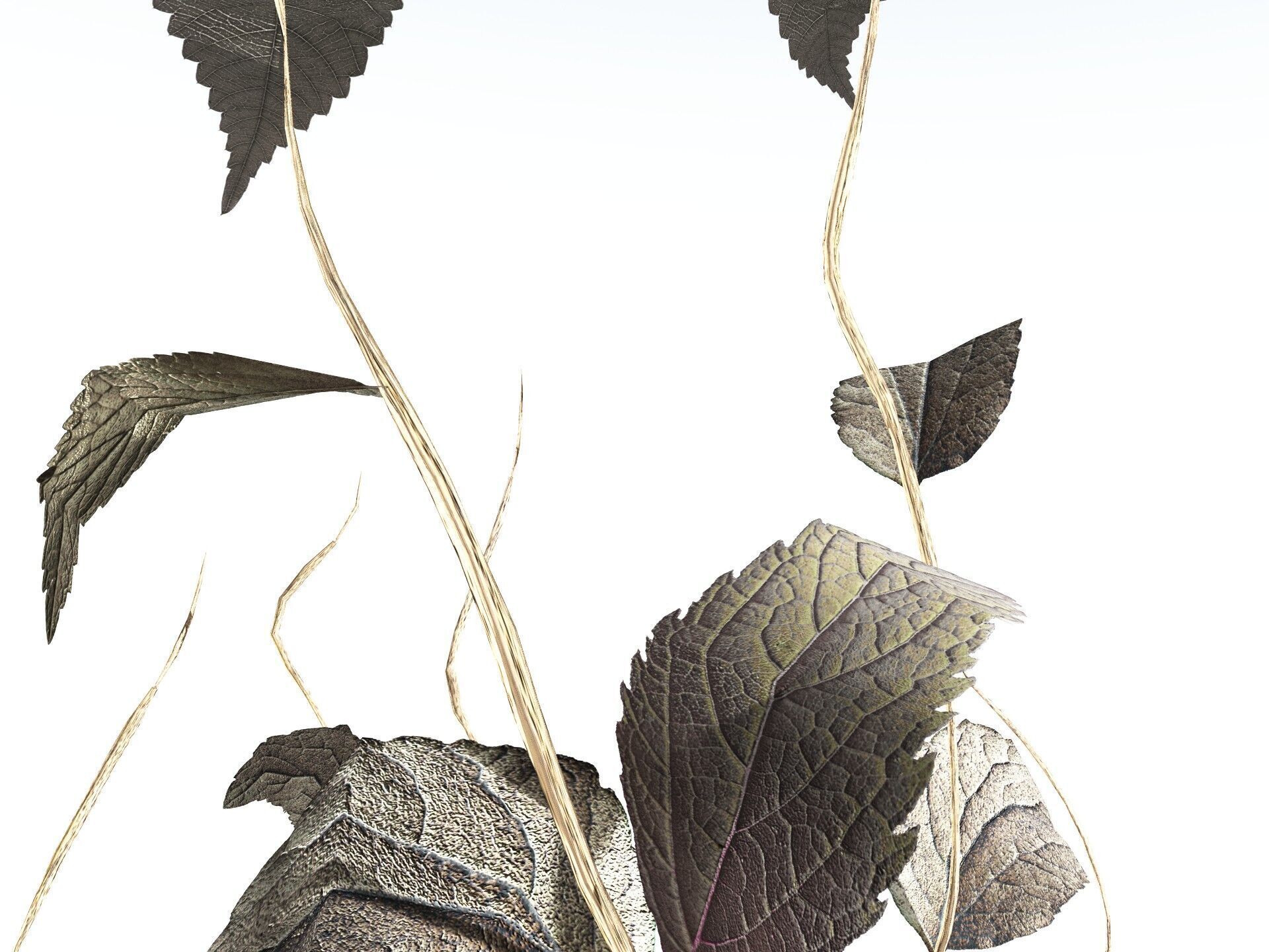 EVERYPlant Dog Mercury LowPoly Low-poly 3D model_19