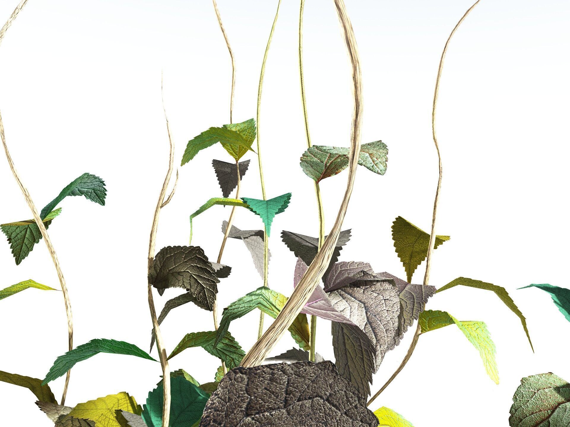 EVERYPlant Dog Mercury LowPoly Low-poly 3D model_17